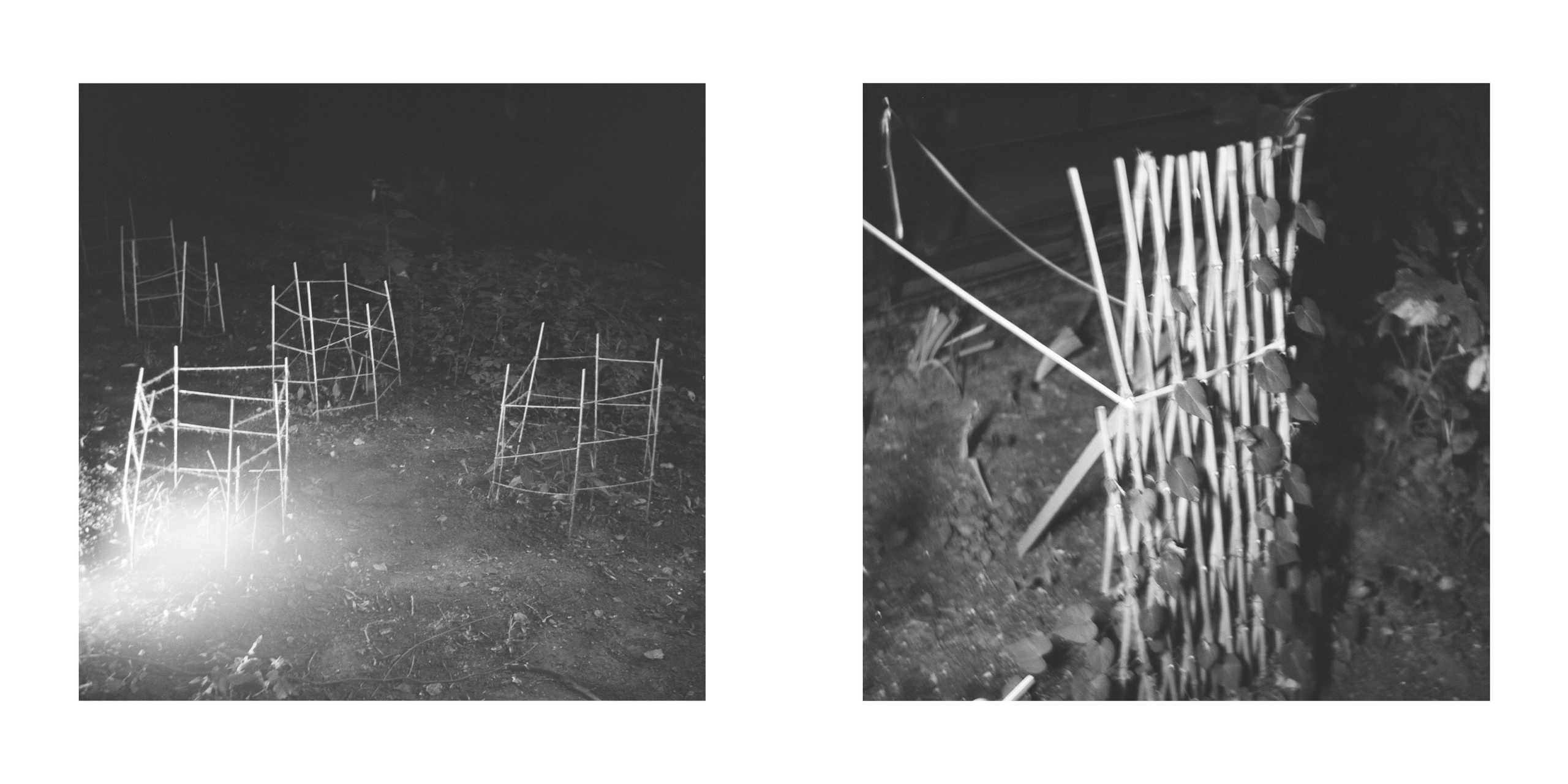 ПОДВЯЗКИ И ОГРАДКИ. Фотограф Анна Васильева | Портретная и арт-фотография Москва