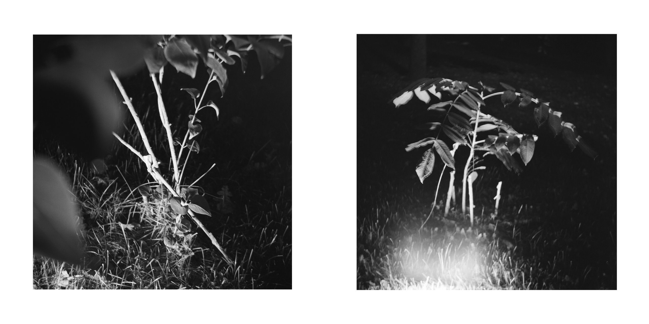 ФОРМЫ ЗАЩИТЫ. Фотограф Анна Васильева | Портретная и арт-фотография Москва