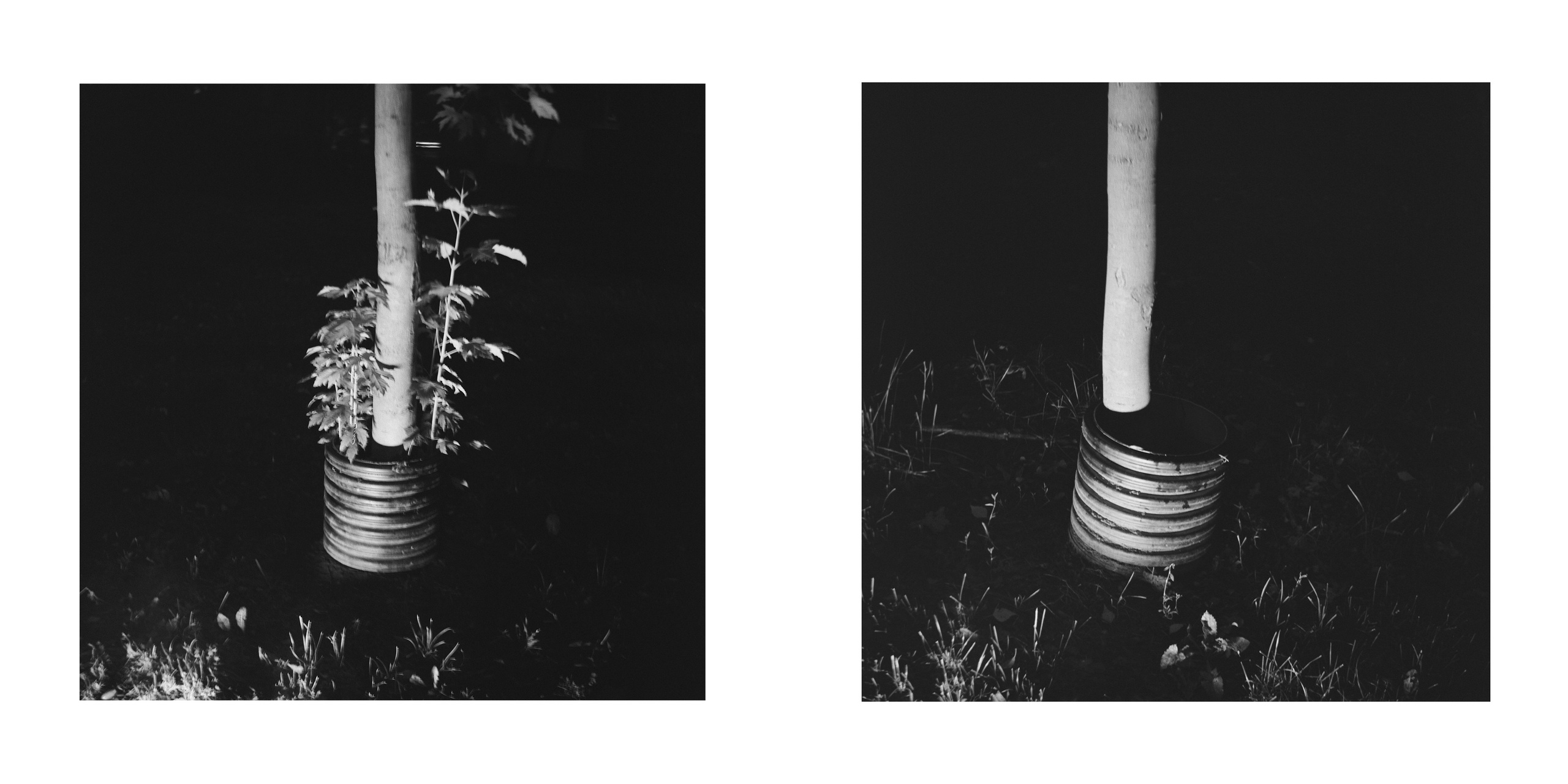 ФОРМЫ ЗАЩИТЫ. Фотограф Анна Васильева | Портретная и арт-фотография Москва
