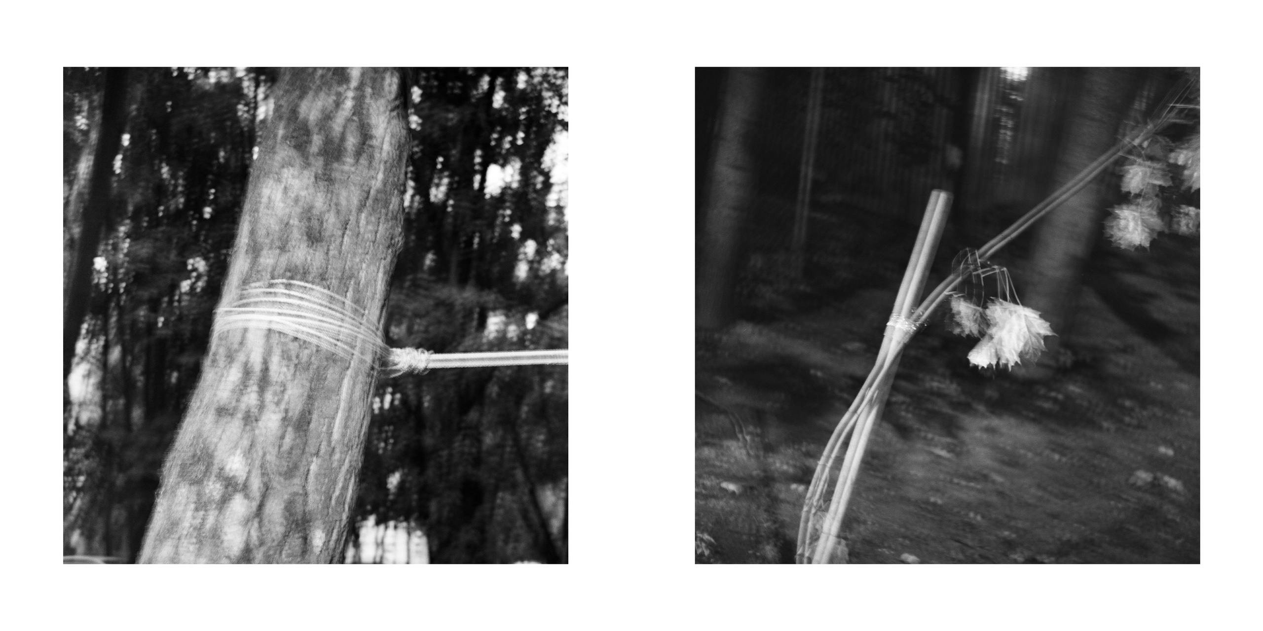 ПОДВЯЗКИ И ОГРАДКИ. Фотограф Анна Васильева | Портретная и арт-фотография Москва