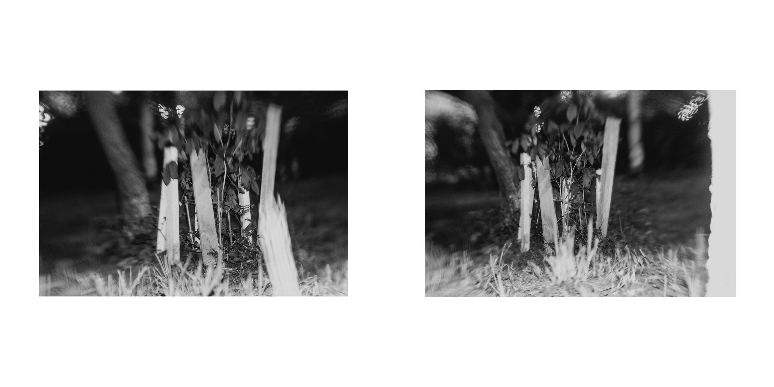 ФОРМЫ ЗАЩИТЫ 2. Фотограф Анна Васильева | Портретная и арт-фотография Москва