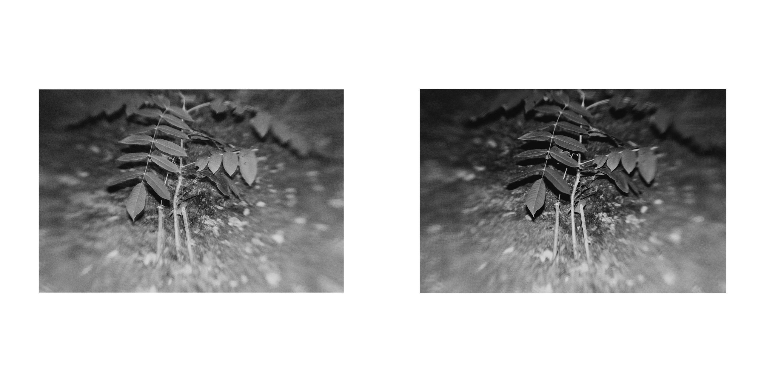 ФОРМЫ ЗАЩИТЫ 2. Фотограф Анна Васильева | Портретная и арт-фотография Москва