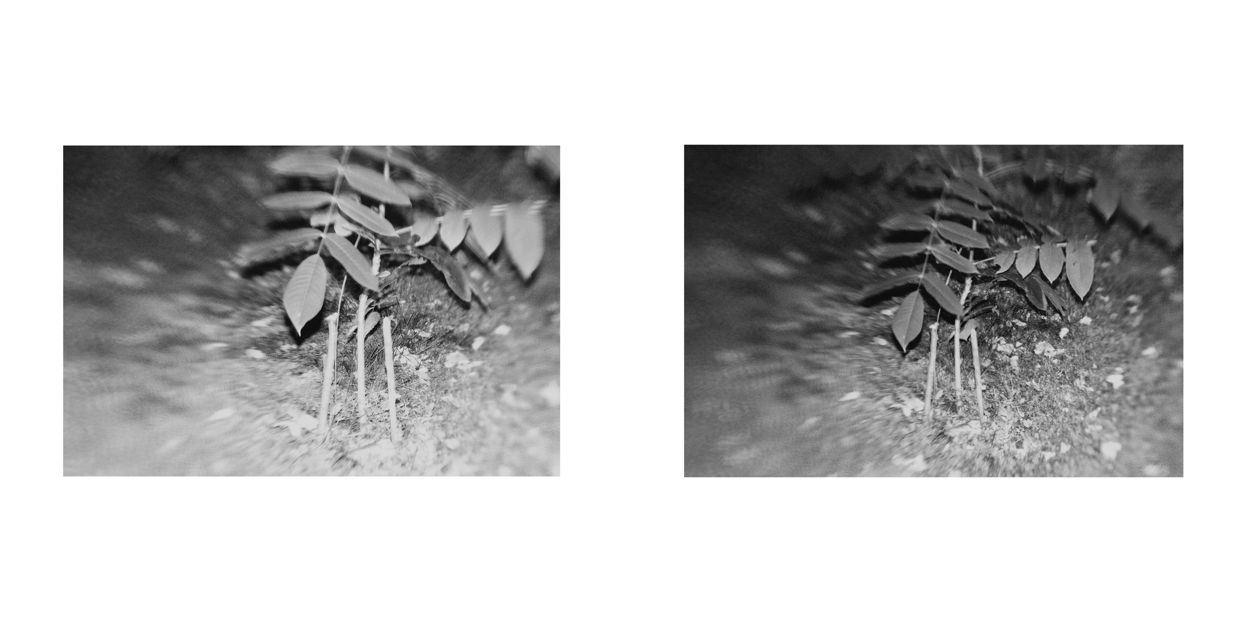 ФОРМЫ ЗАЩИТЫ 2. Фотограф Анна Васильева | Портретная и арт-фотография Москва