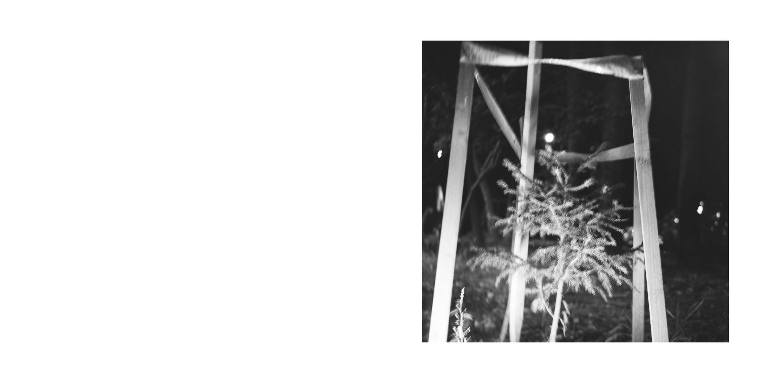 ПОДВЯЗКИ И ОГРАДКИ. Фотограф Анна Васильева | Портретная и арт-фотография Москва