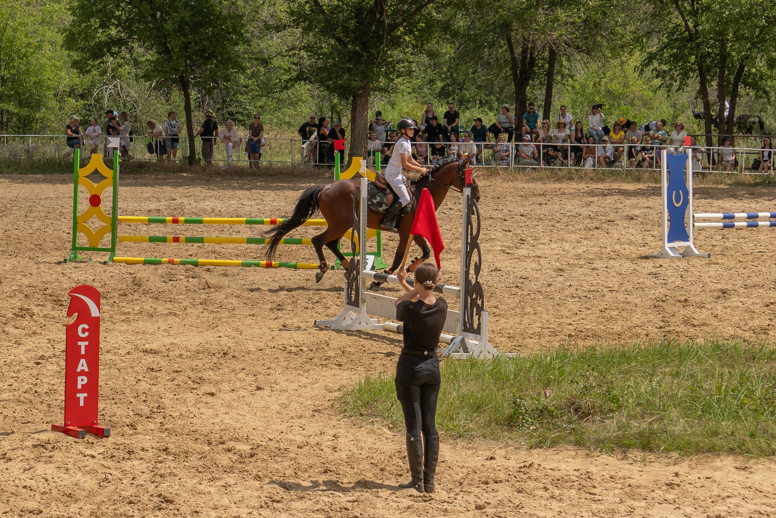 Соревнования по конкуру, Луганск. Фотограф в РФ и ЛНР Юлия Федосеева
