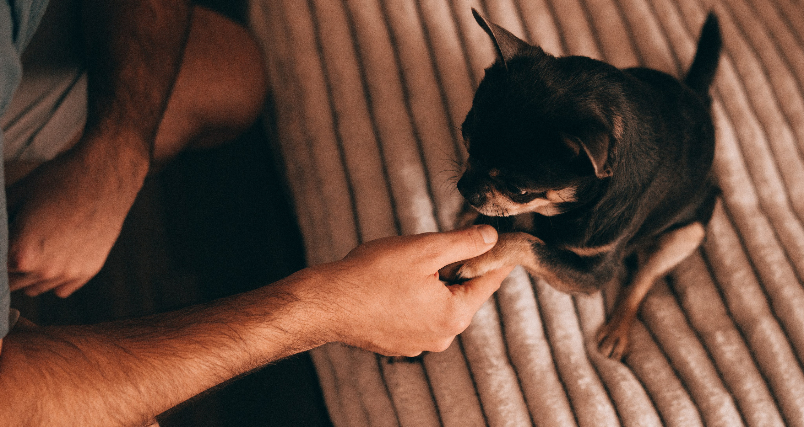Марк в кругу семьи. Семейный, ньюборн фотограф, фотограф на роды в Москве, Виктория Тюльдюкова