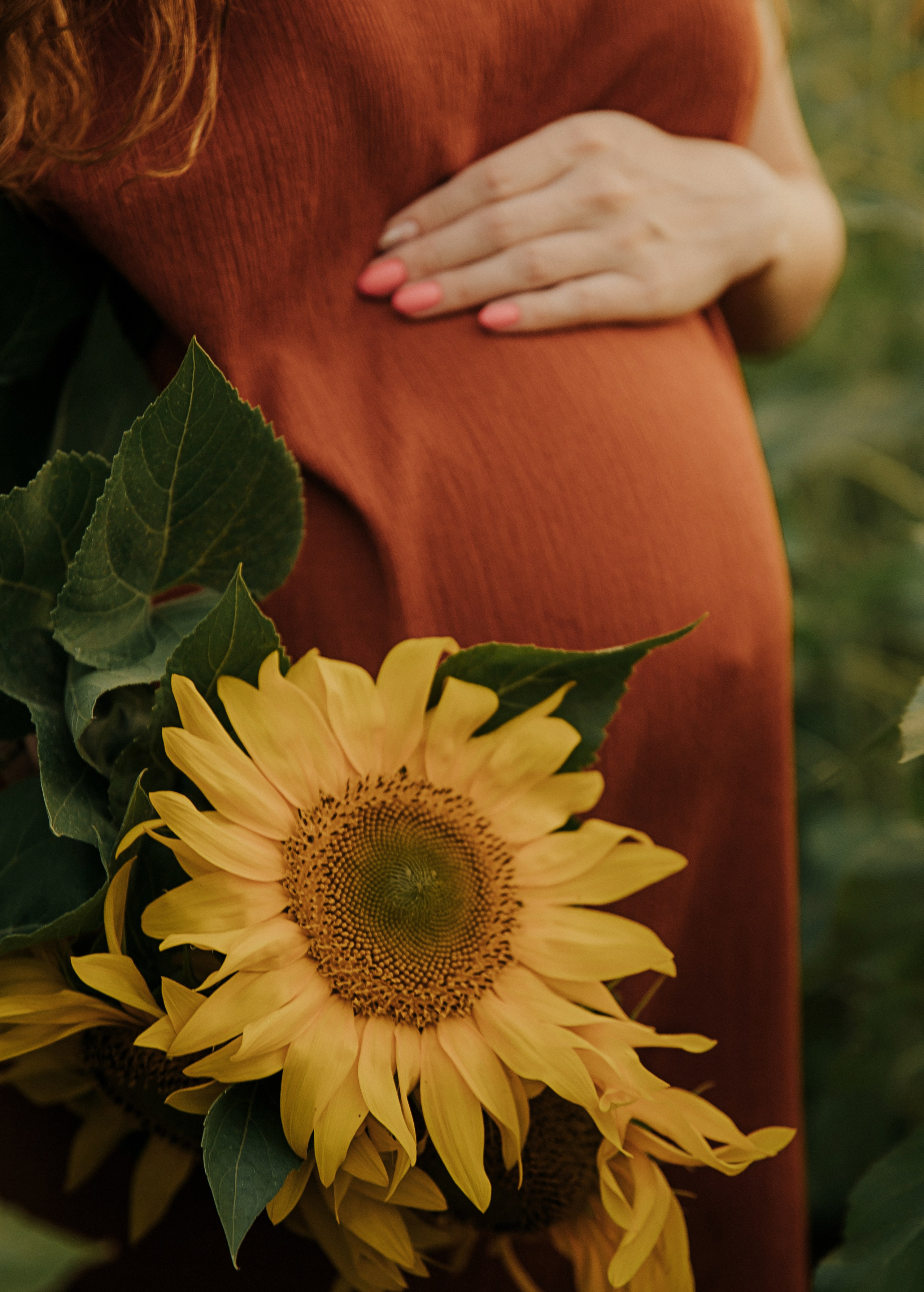 Лена и подсолнухи. Семейный и свадебный фотограф в Челябинске Юлия Софьина