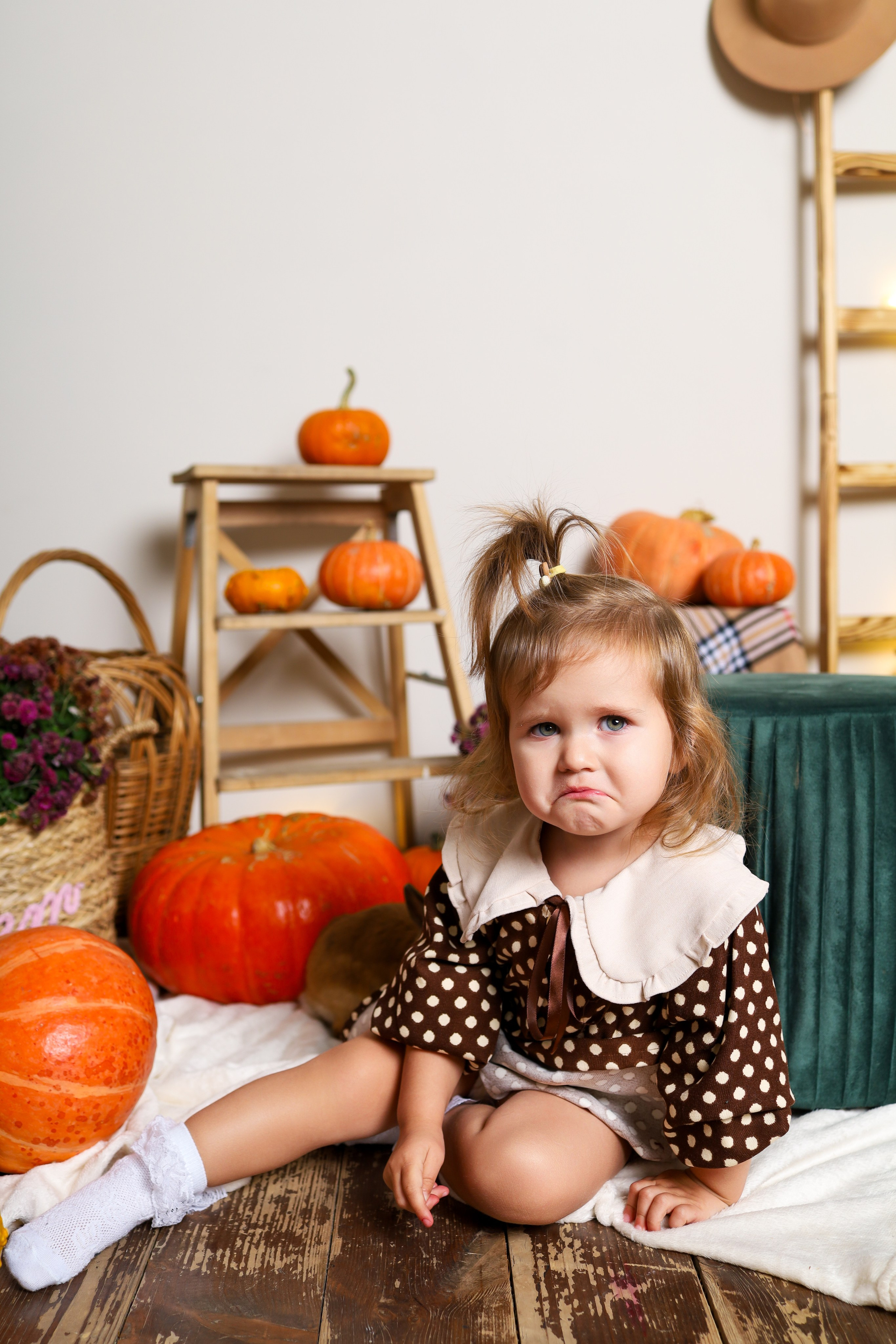 Пушистый друг. Фотограф в Туле Аушева Юлия