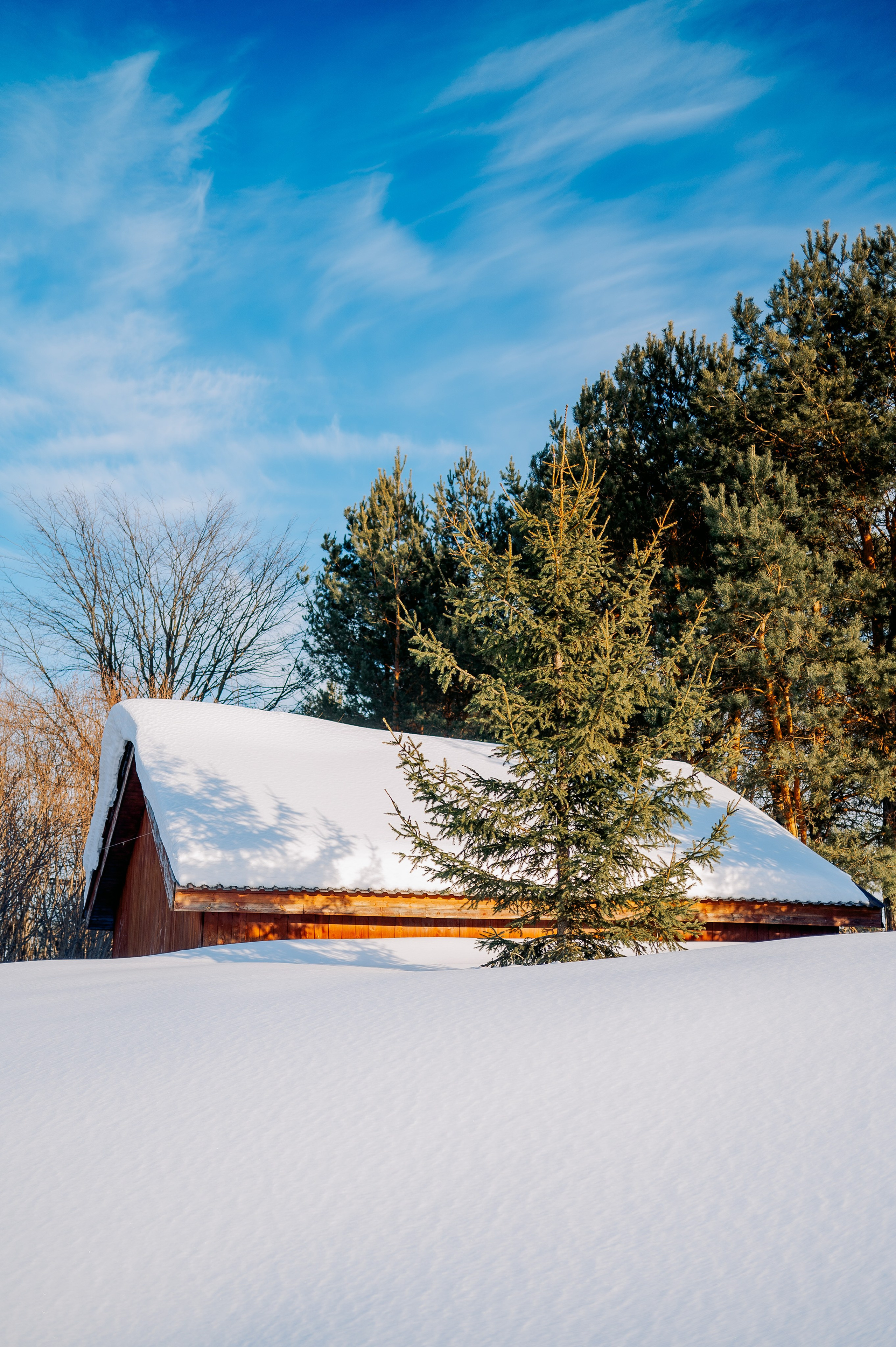 База отдыха «Заимка», Чувашия, февраль 2024. Фотограф Александр Золотых