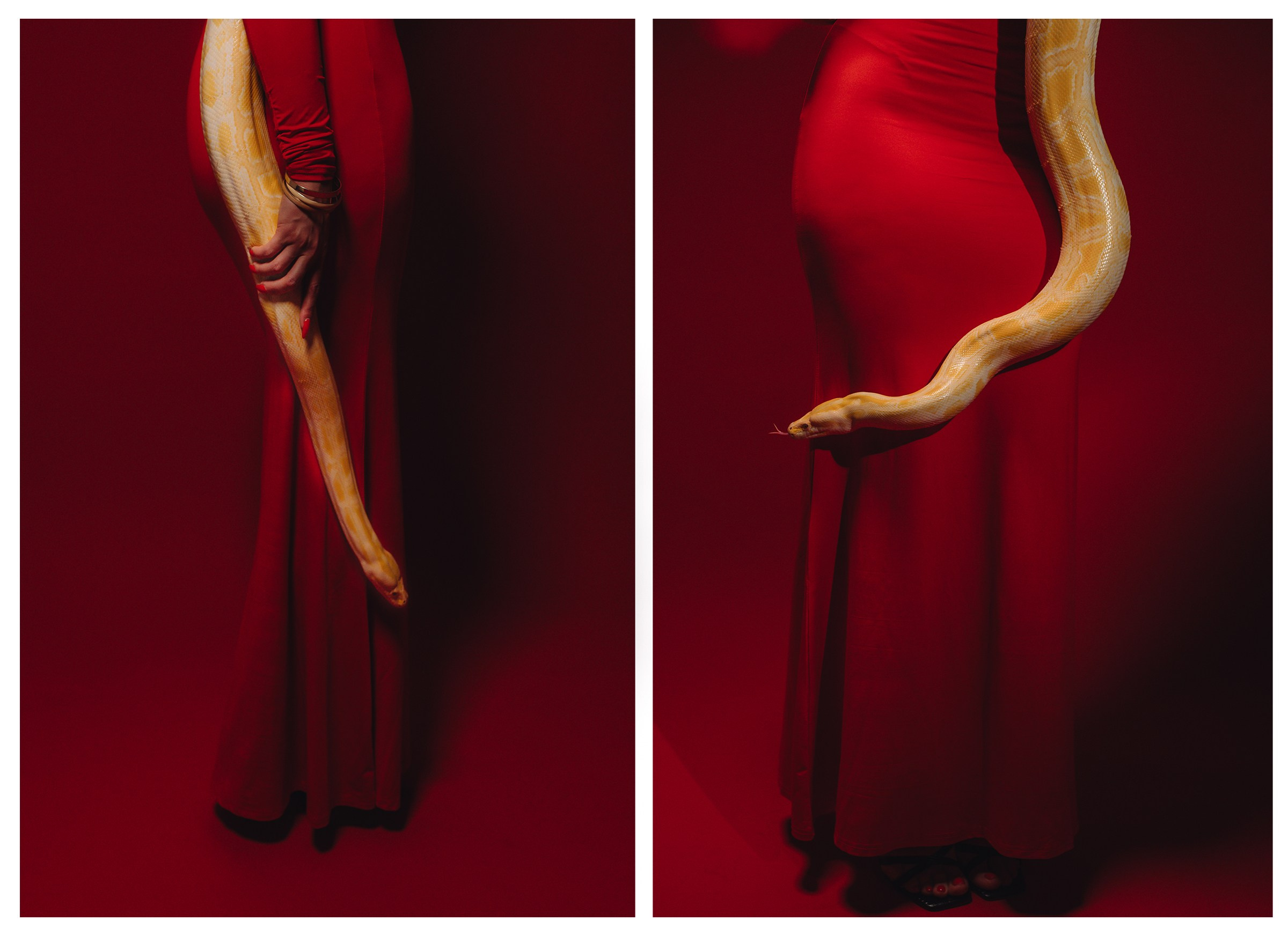 Окс со змеей. Свадебный фотограф во Владимире Влад Бирюков