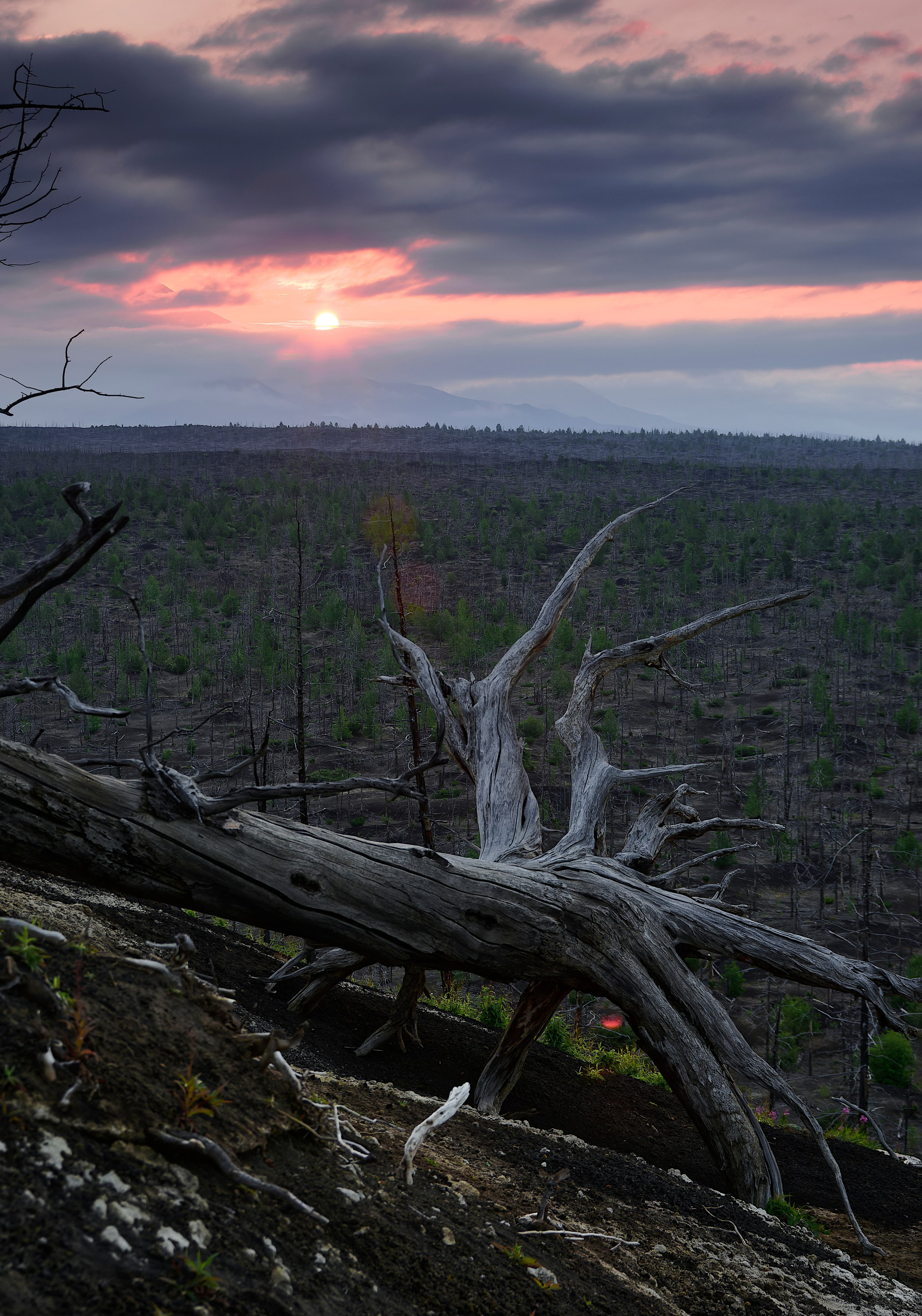 Камчатка. Фототрип. Тур?. Семоха Валерий. Фотограф