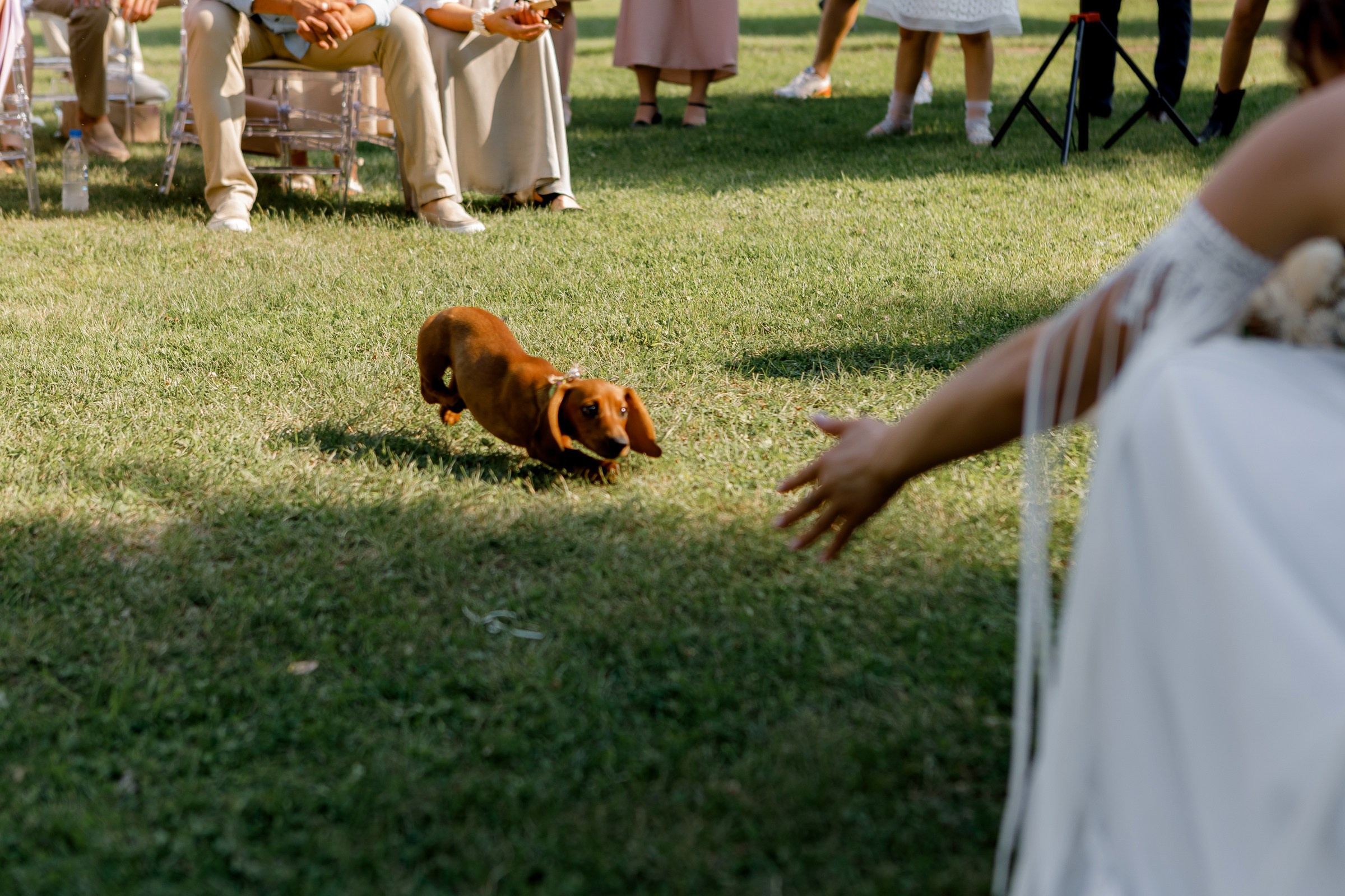 The Sorokins. Фотограф Артем Утешев