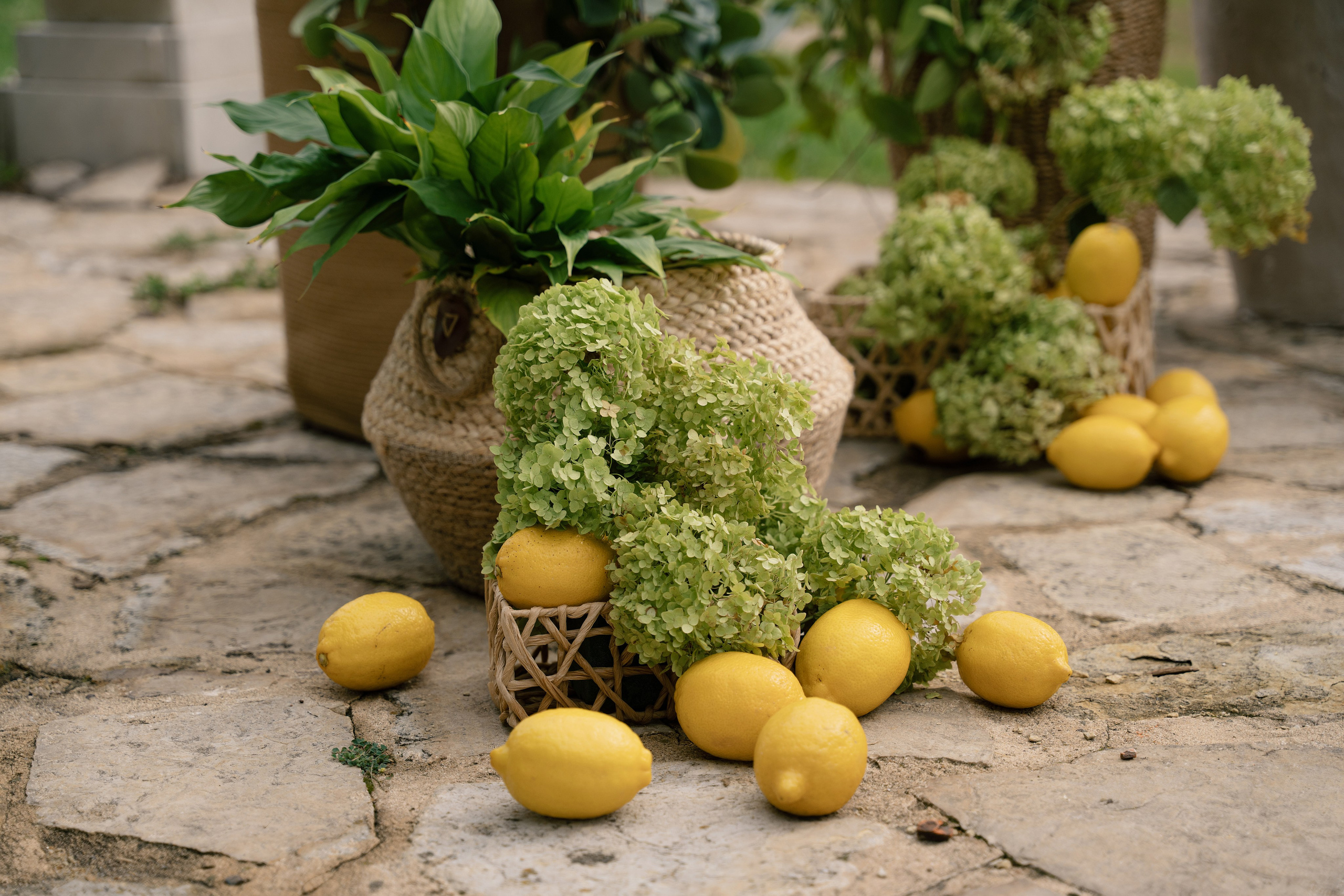 A&A. Пушистая Сова - Свадебный и портретный фотограф Воронеж, Москва, Питер