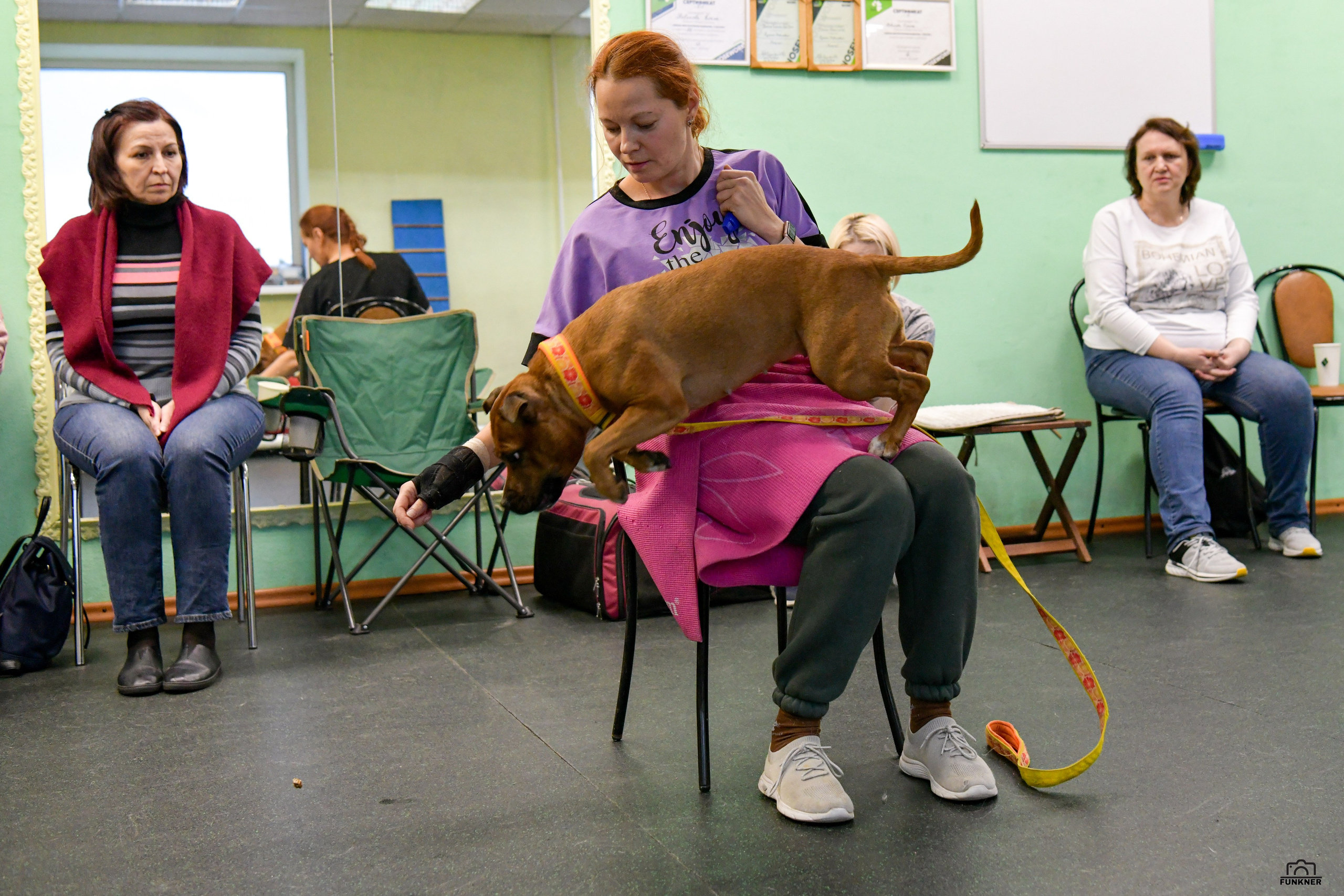 Кинологический клуб «Бодрый хвост». Свой взгляд через объектив