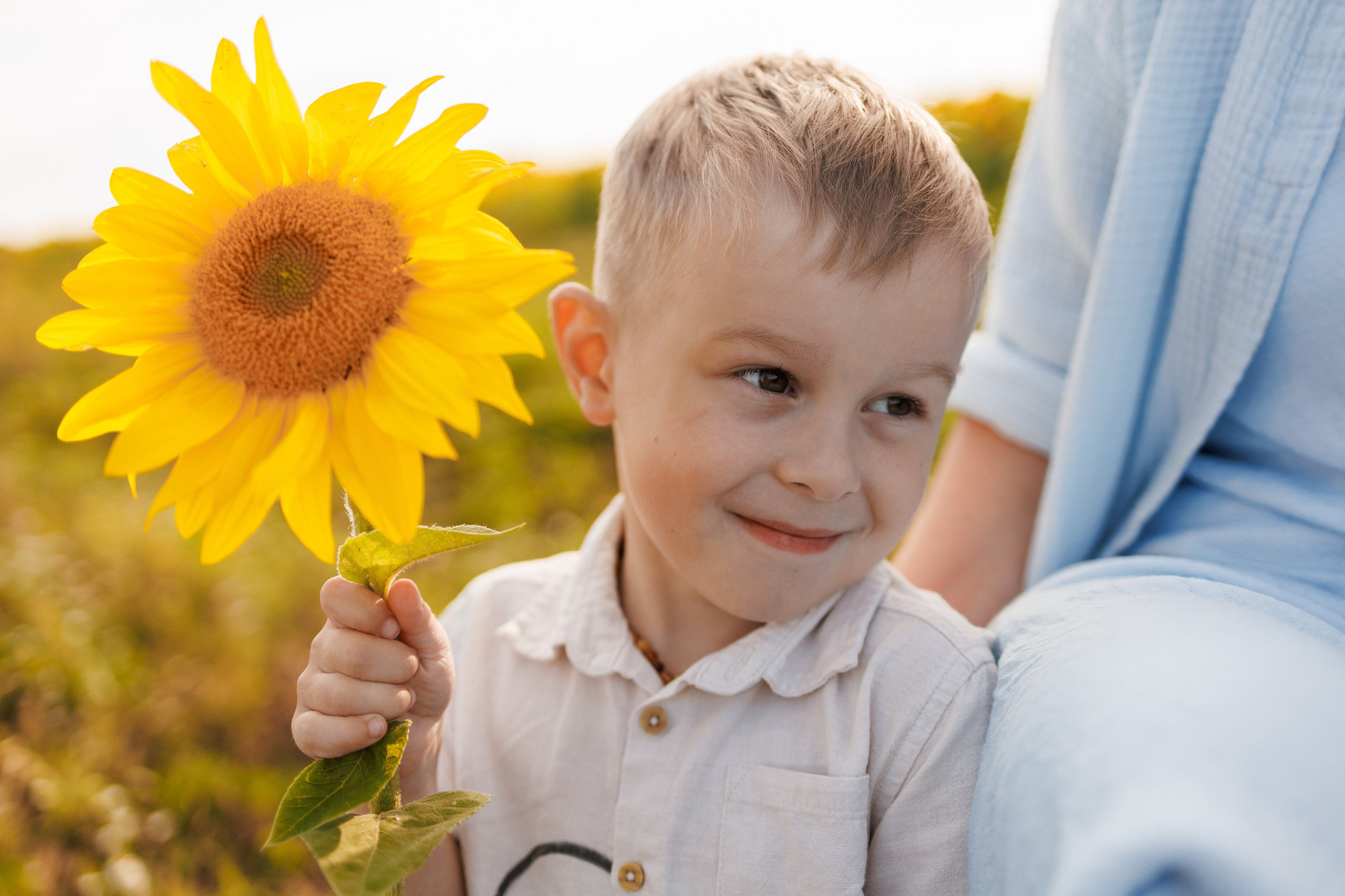 В поле подсолнухов. Семейный фотограф г. Тюмень