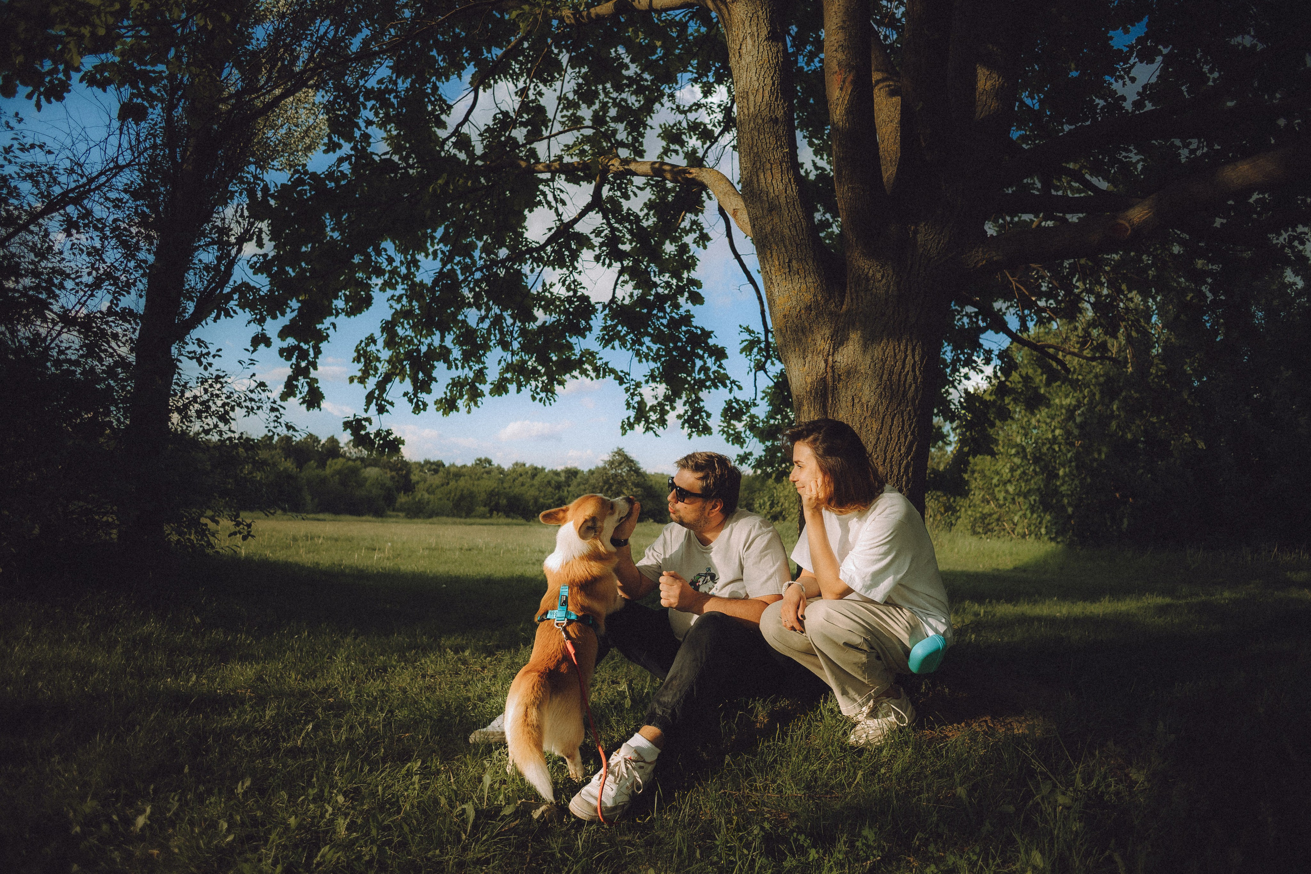 Вирджик и его семья