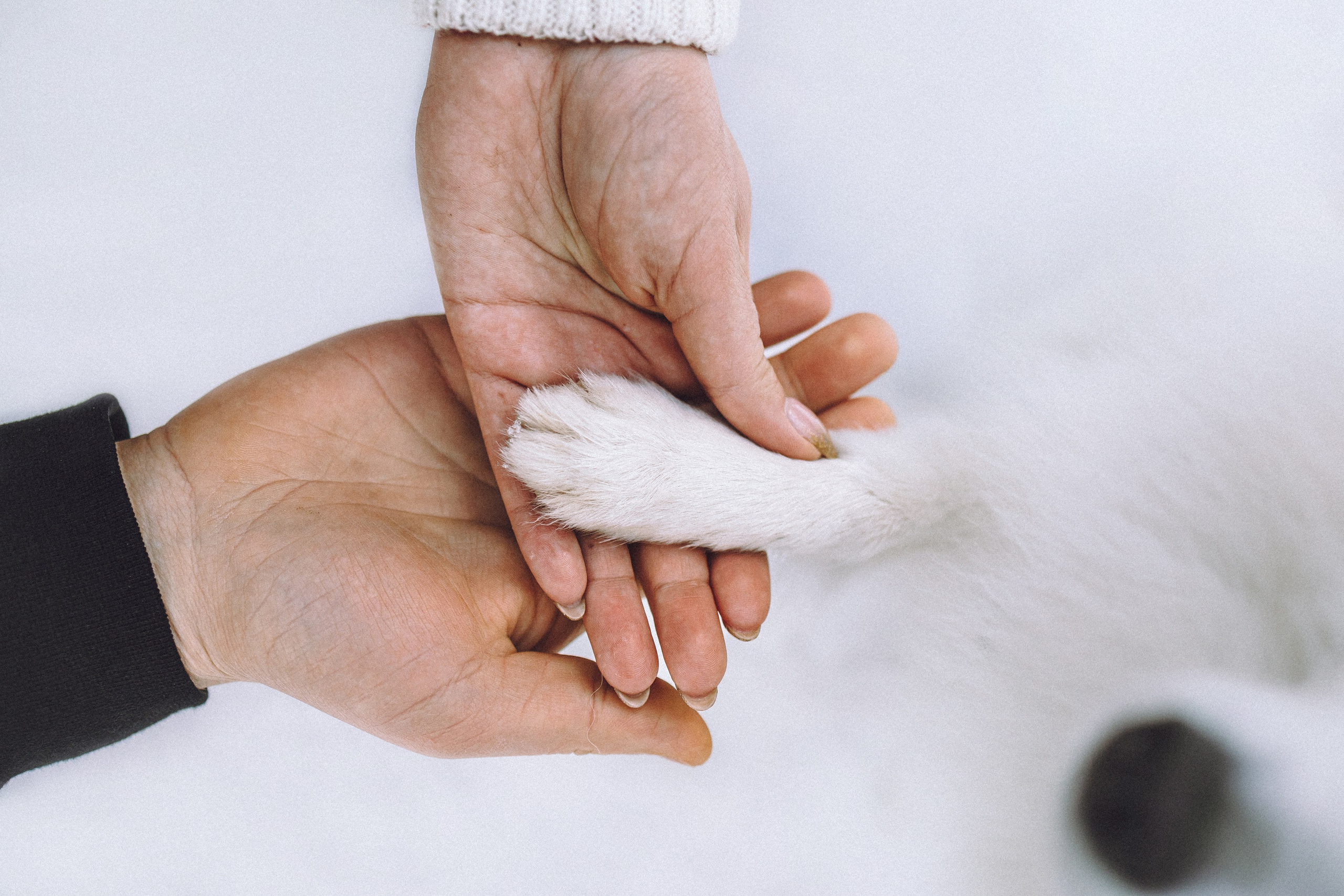 Шани и ее семья