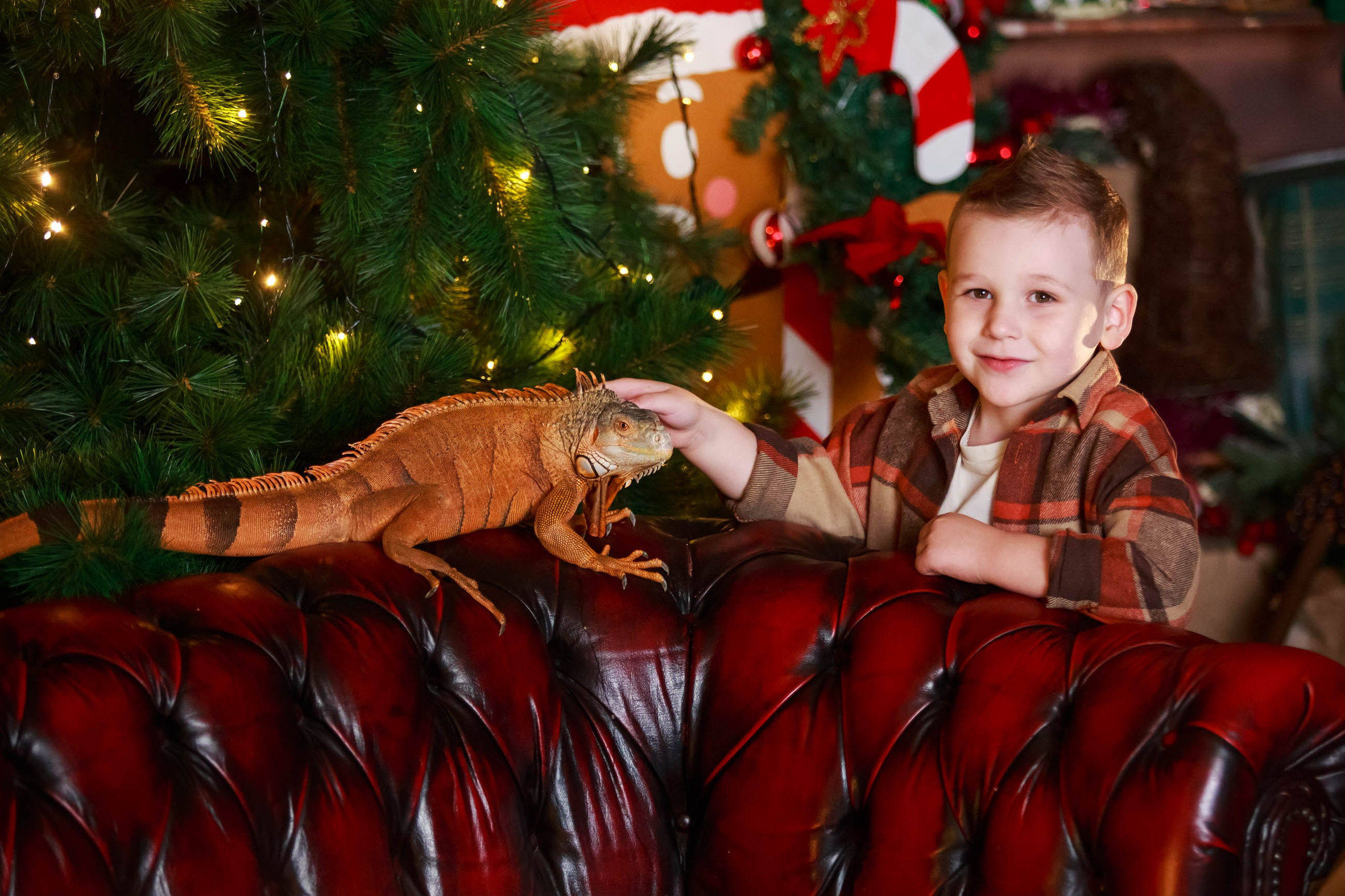 Фотосессия с игуаной символ года Дракона. Семейный и детский фотограф в Москве Мария Быкова