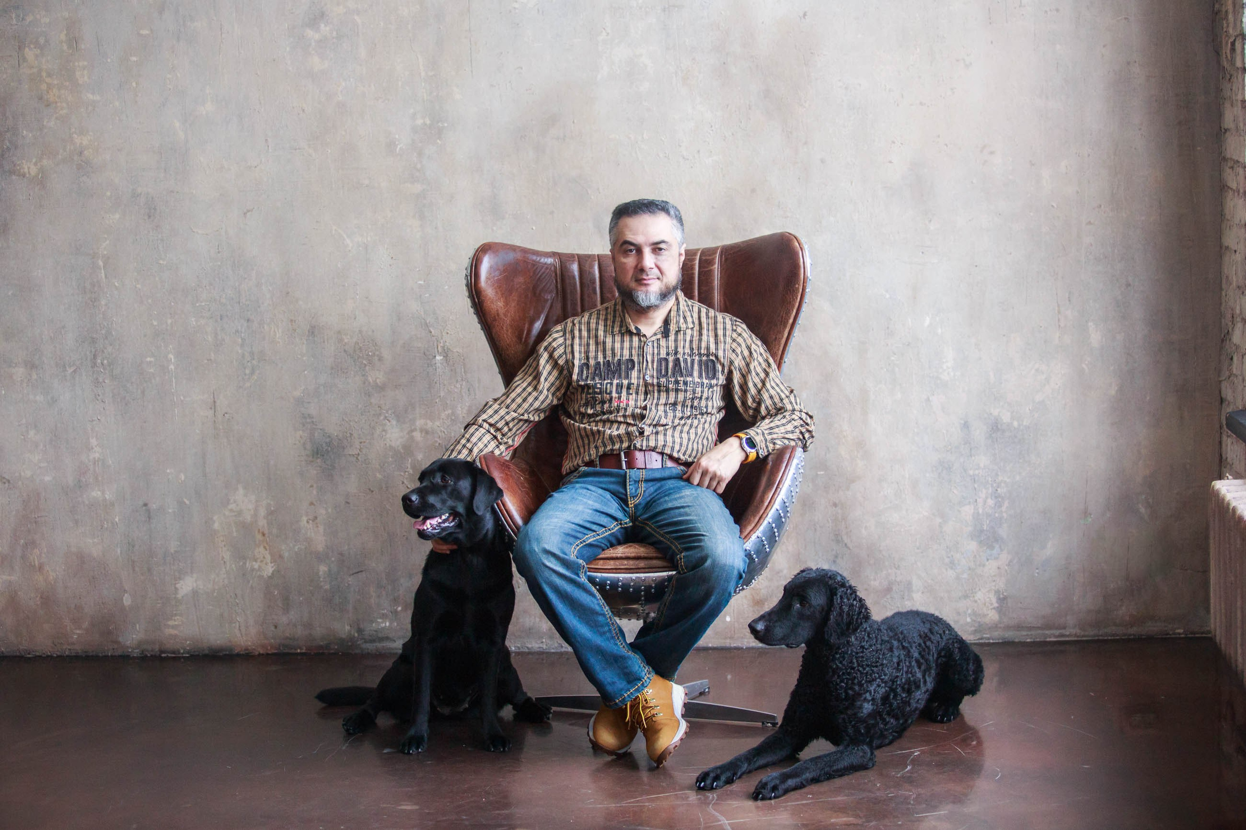 Лабрадор ретривер и курчавошерстный ретривер фотосессия на Новый год в фотостудии. Семейный и детский фотограф в Москве Мария Быкова