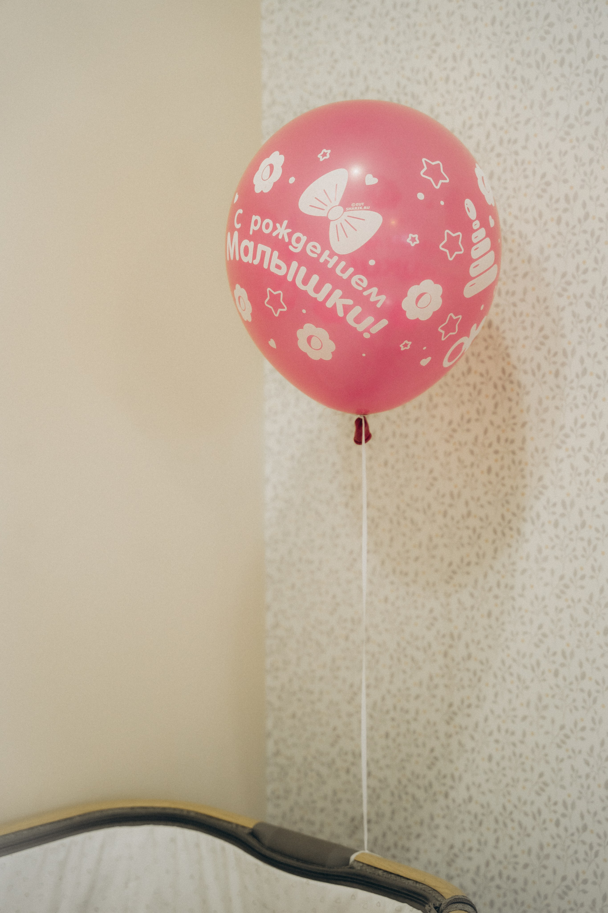 Вика и Дима. Аплас Анастасия