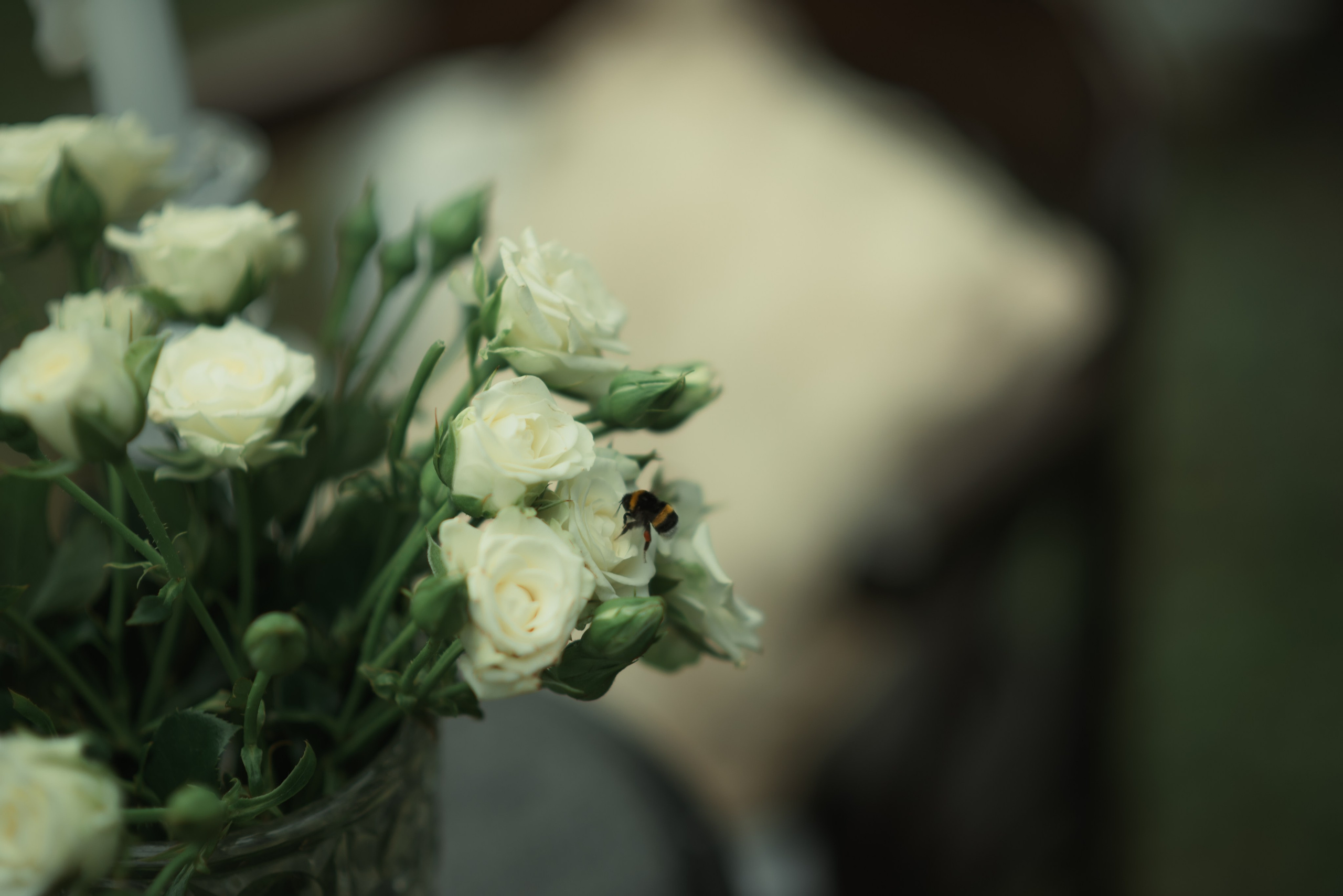 Сказочная аристократия. Главная