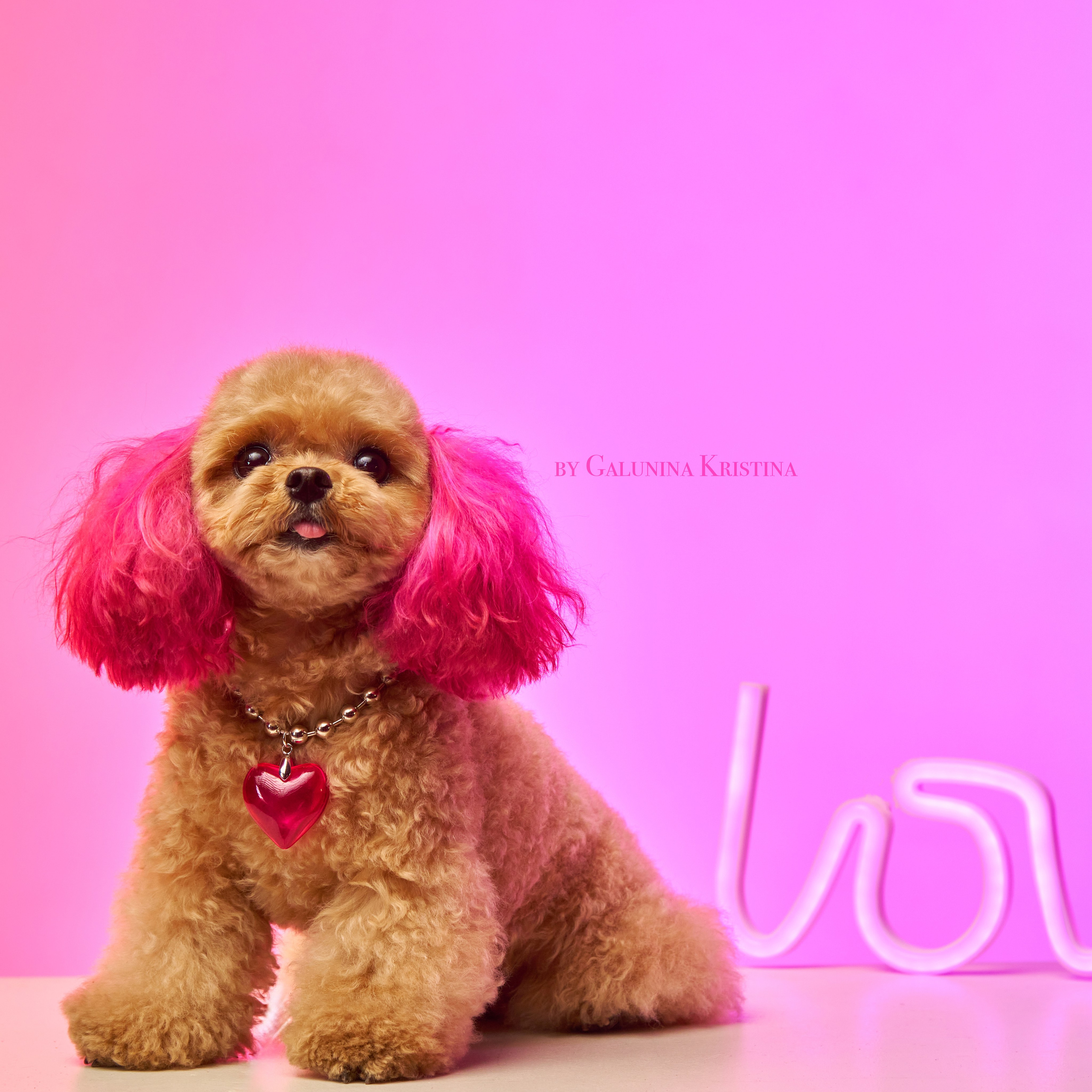 Мальтипу. Фотограф в Москве — Галунина Кристина