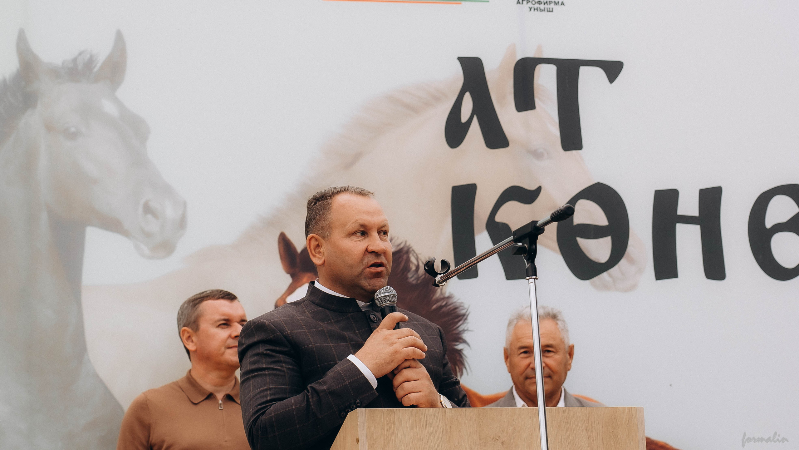 День Коня. Алиса Никитцова | Фотограф в Казани