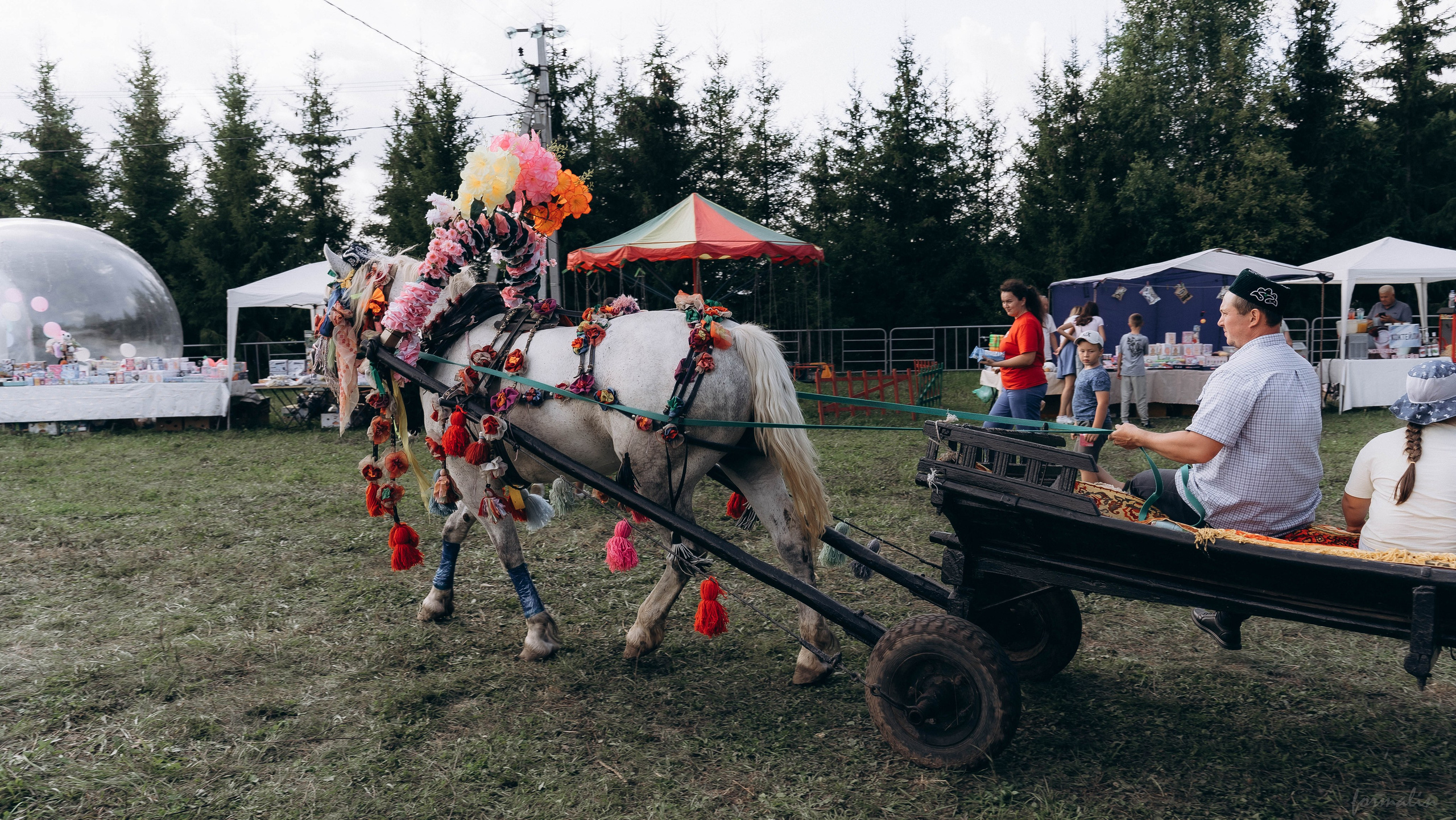 День Коня. Алиса Никитцова | Фотограф в Казани