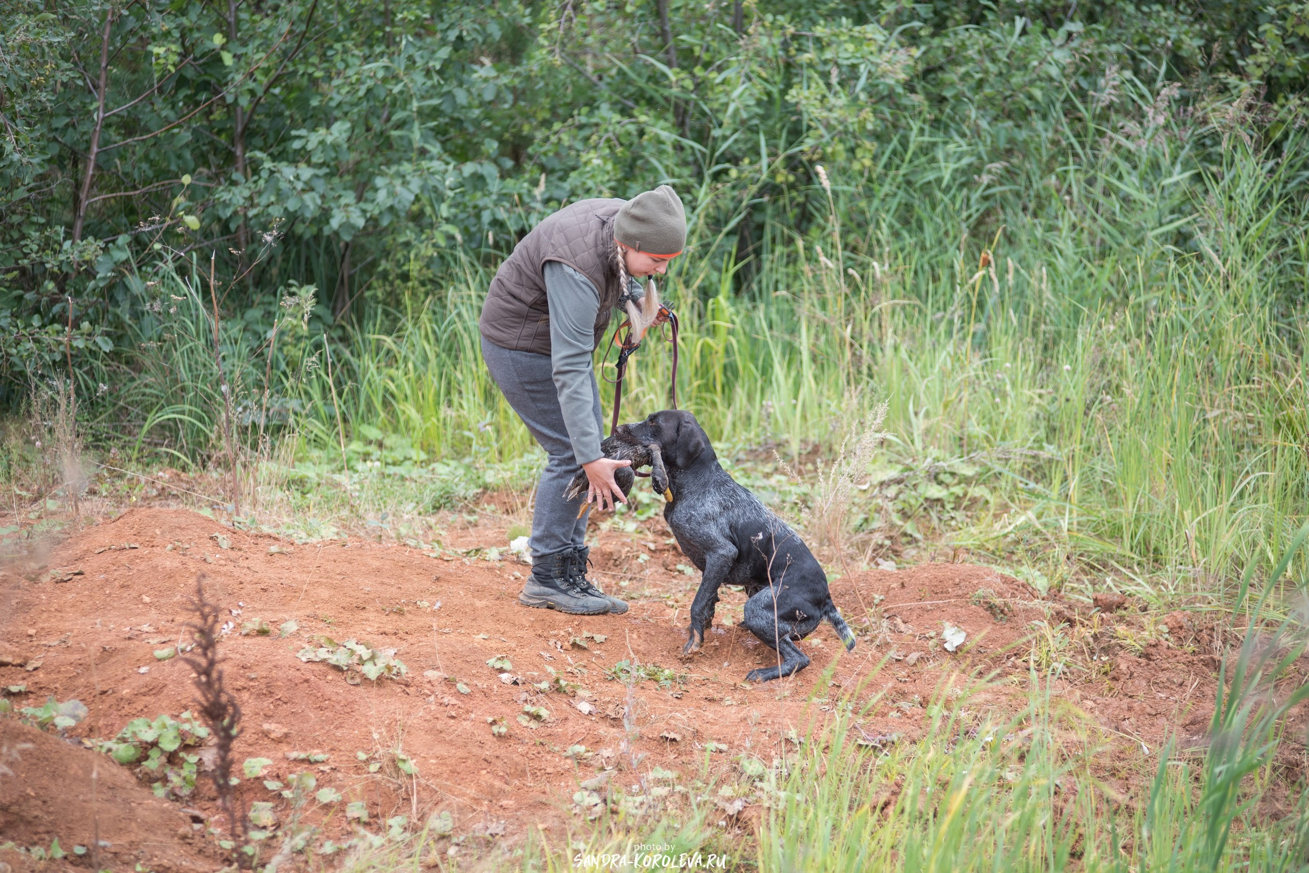 Фотографии. Главная