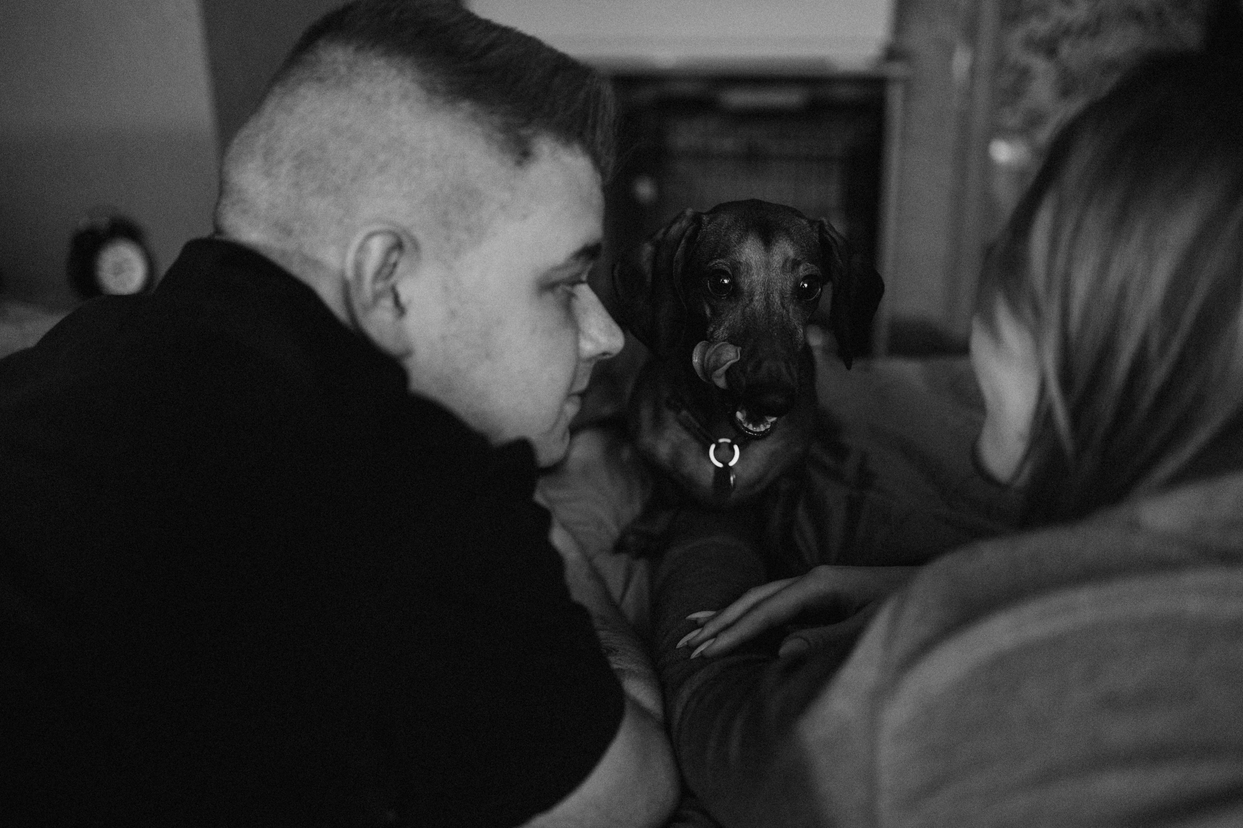 Маша и ее семья. Фотораф — анималист Мария Шистка