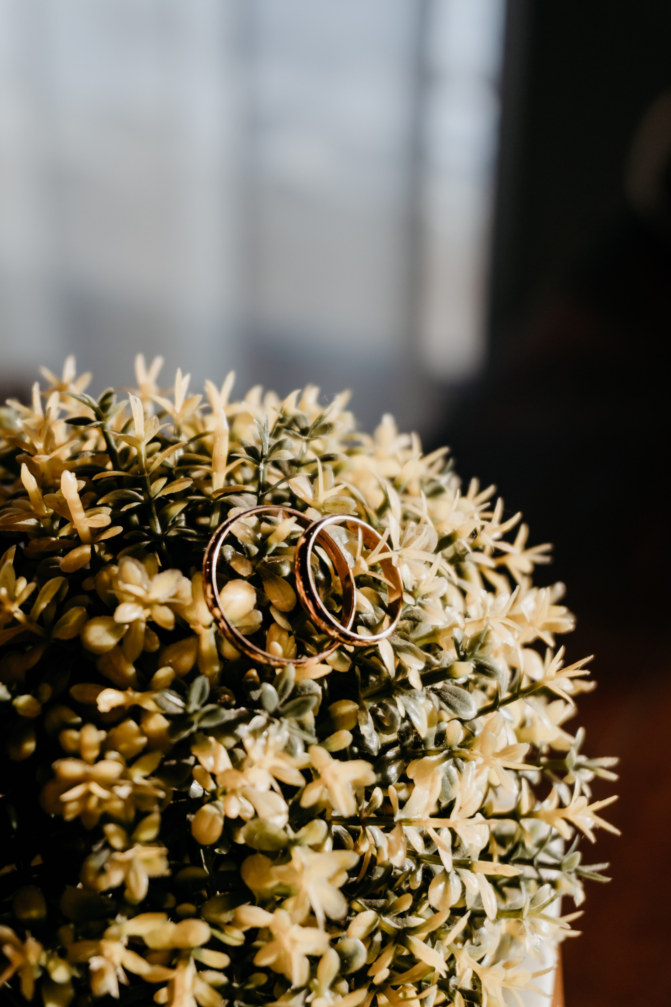 Свадебный банкет Артема и Дарьи. Ресторан «Вояж». Фотограф в Улан-Удэ. Свадебный фотограф в Улан-Удэ