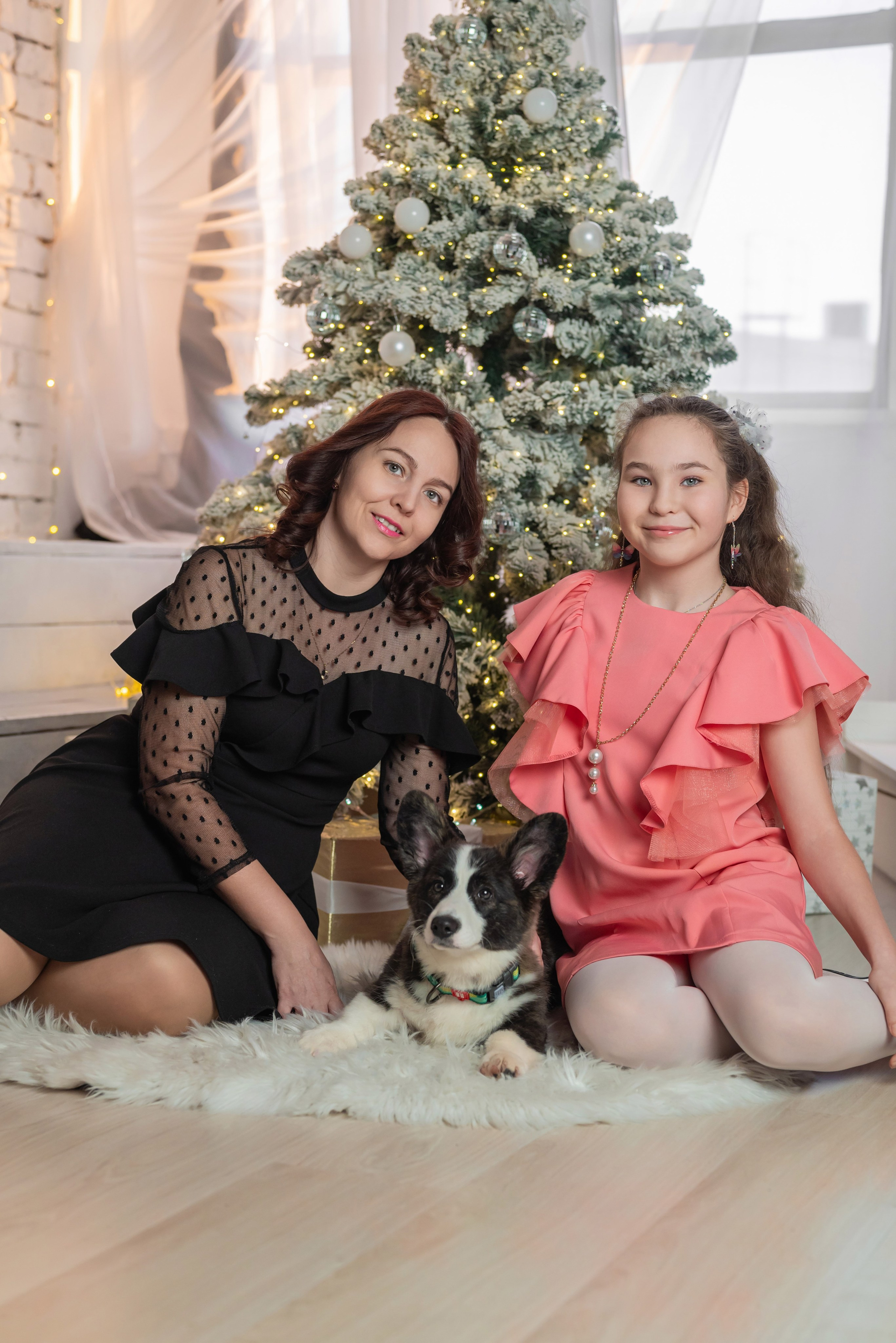 Фотопроект с корги. Фотограф в городе Салават