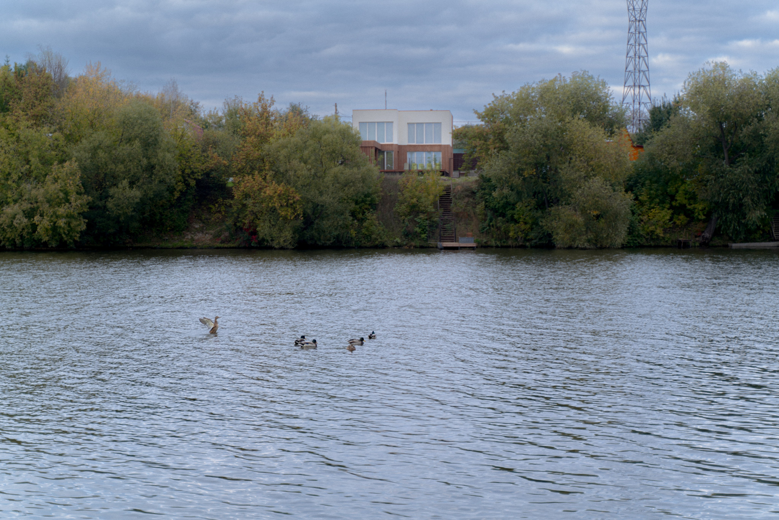 Осенняя история мамы и дочки. FotoTanya. Раменское/Жуковский/Бронницы