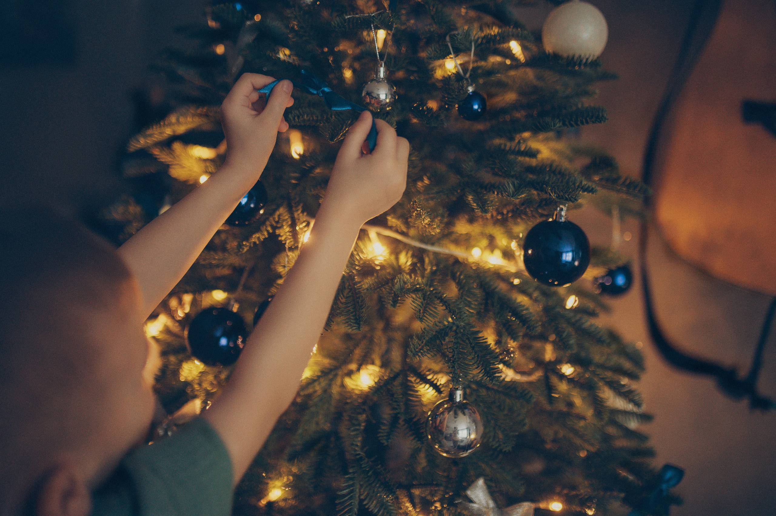 Миша и Тимофей (новогодняя домашняя). Фотограф, г. Лесной Свердловской области