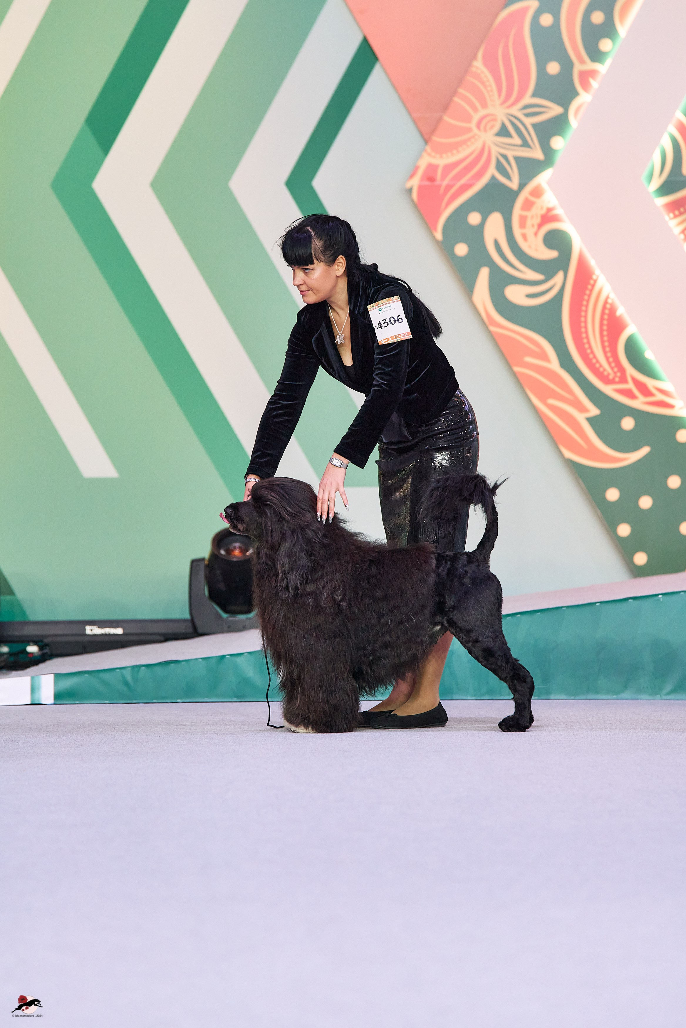 17.11.2024 «ЕВРАЗИЯ. КУБОК СНГ 2024»