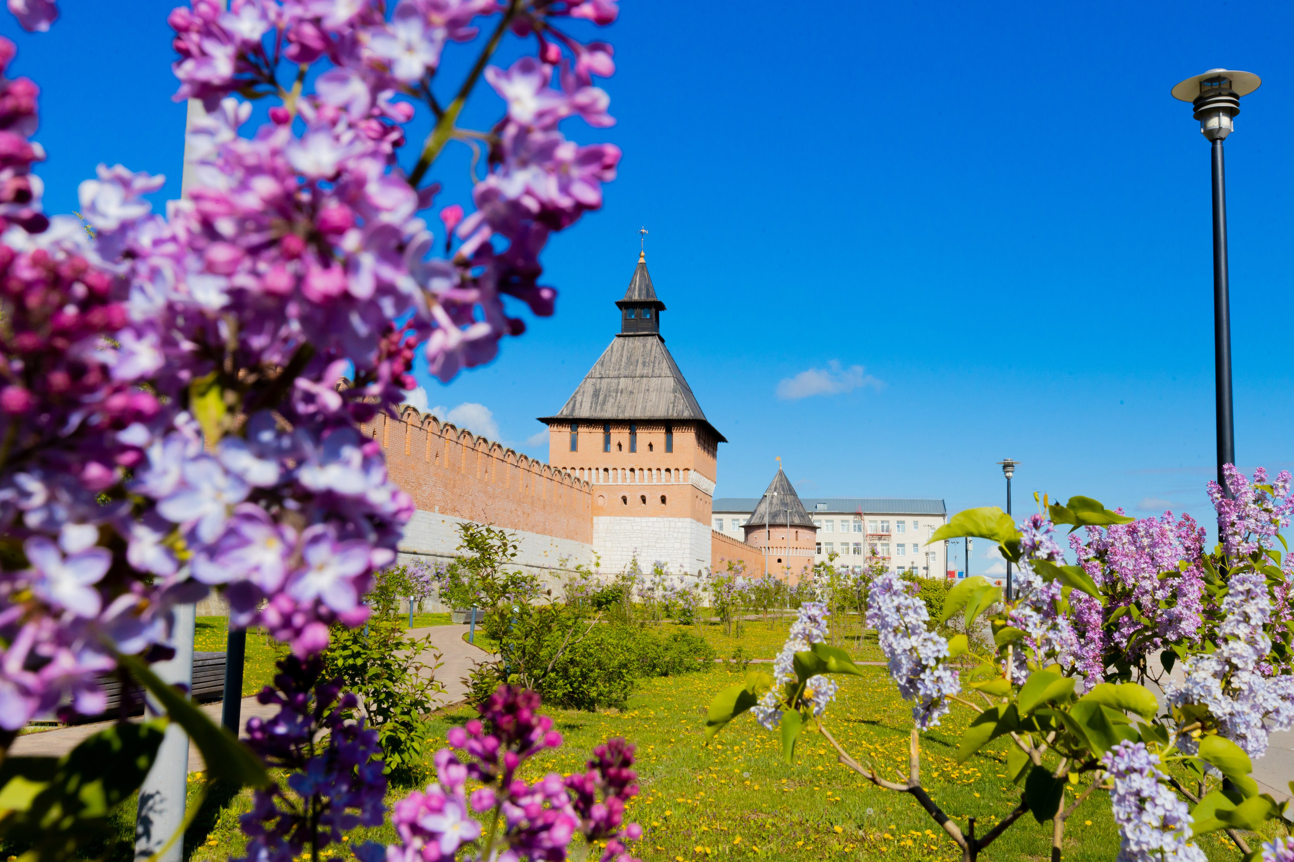Весеннее цветение в Туле. Фотограф в Туле Крупский АнДРей. Фотостудия «КАДР71» в Туле