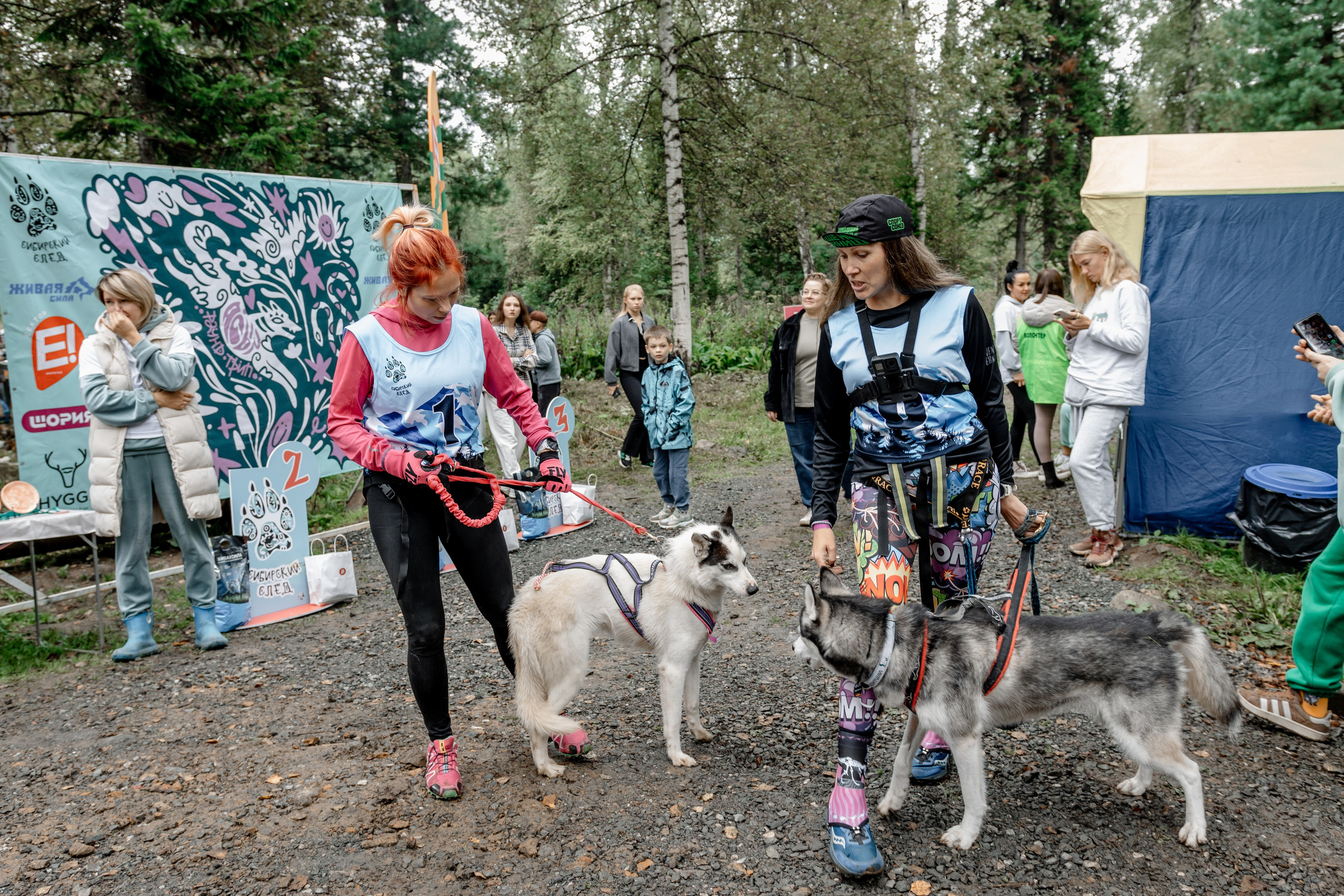 Дог-треккинг