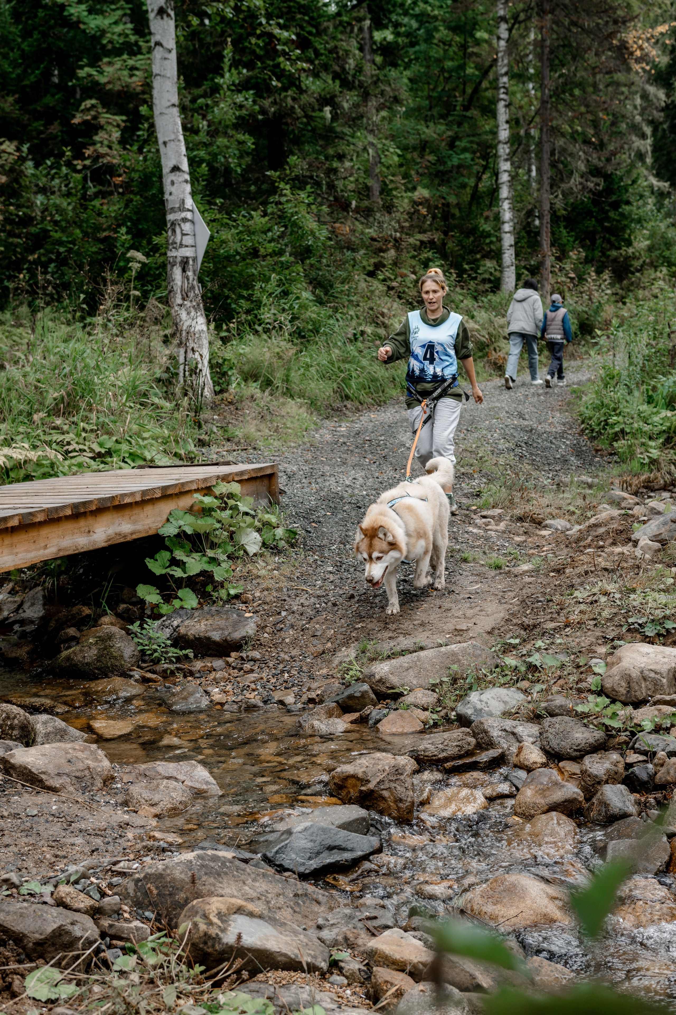 Дог-треккинг