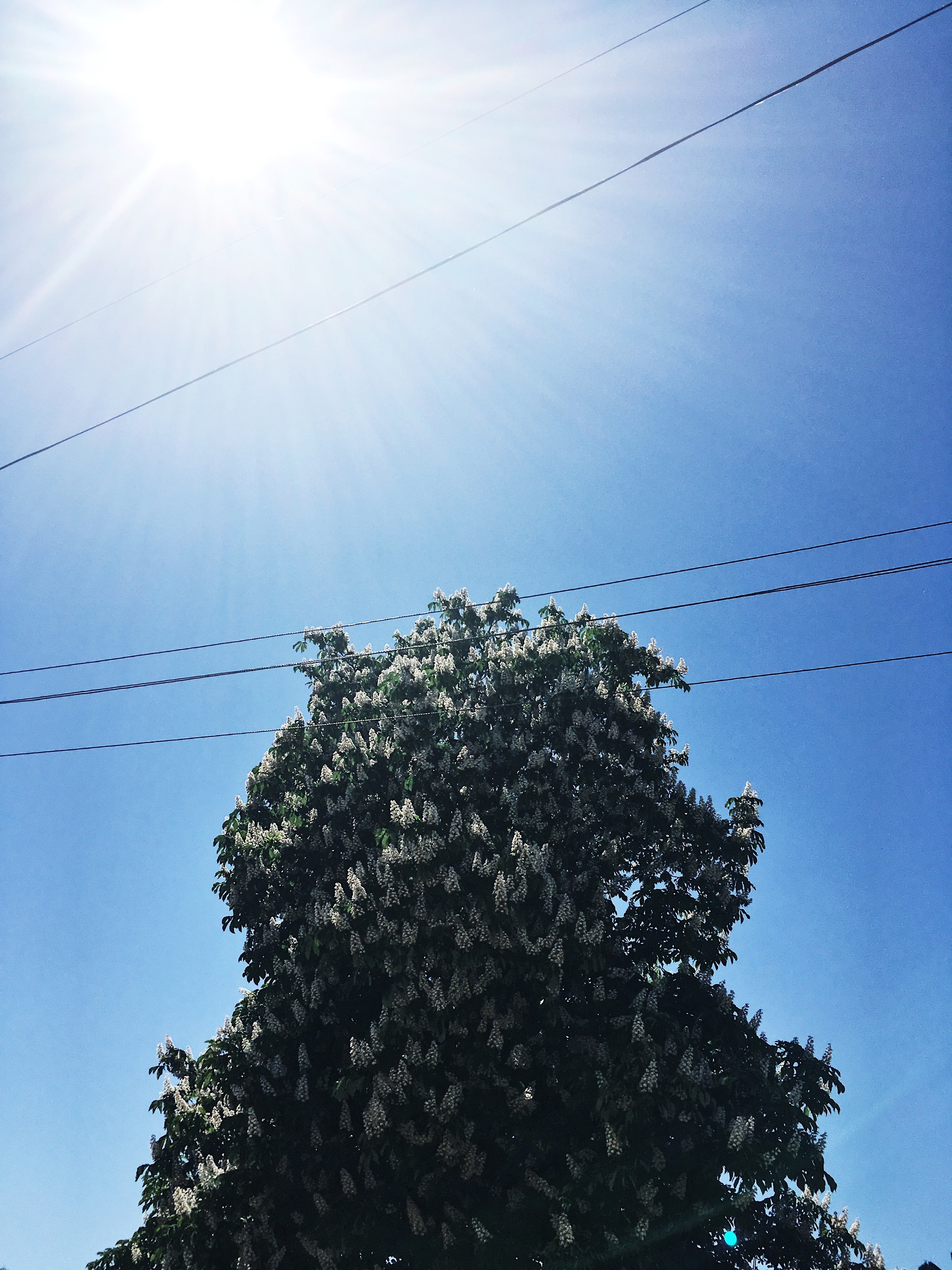 Визуальный дневник. Портретный фотограф в Москве Гахраманова Екатерина