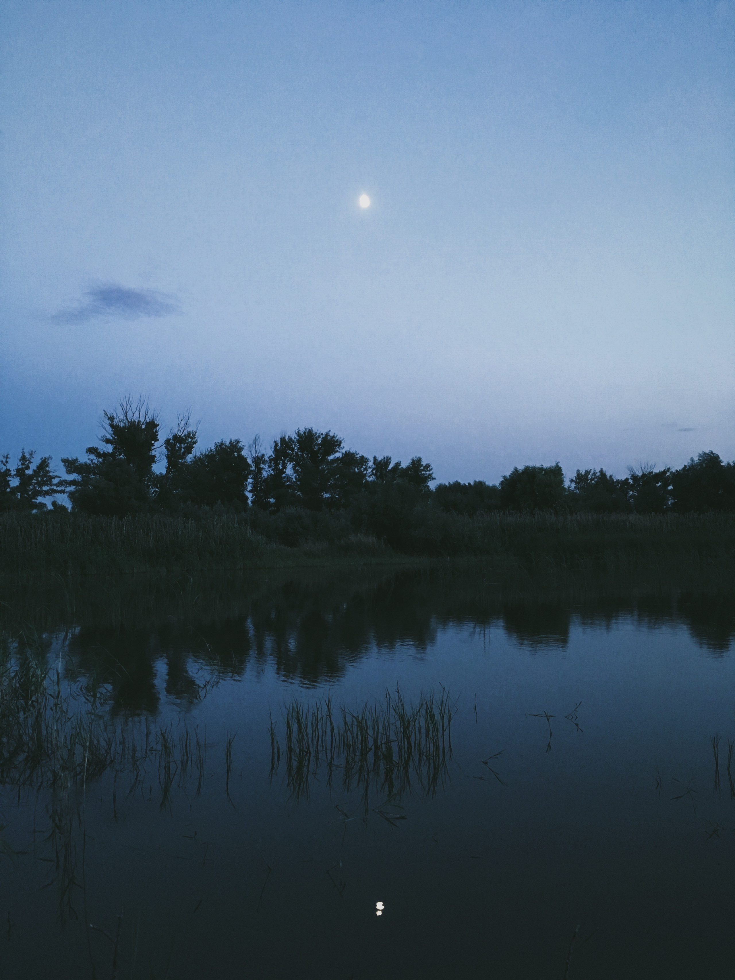 Визуальный дневник. Портретный фотограф в Москве Гахраманова Екатерина