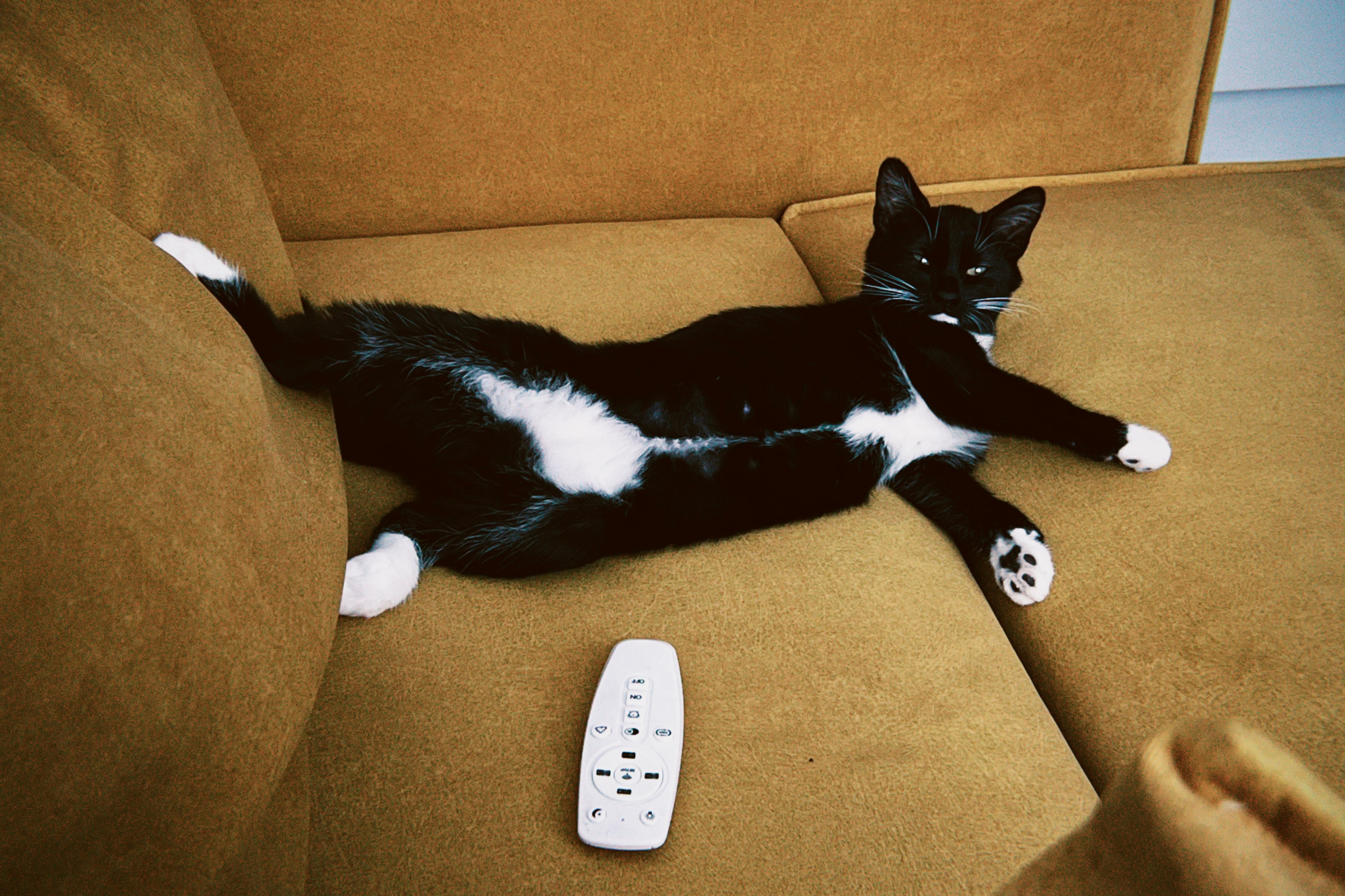 Визуальный дневник. Портретный фотограф в Москве Гахраманова Екатерина