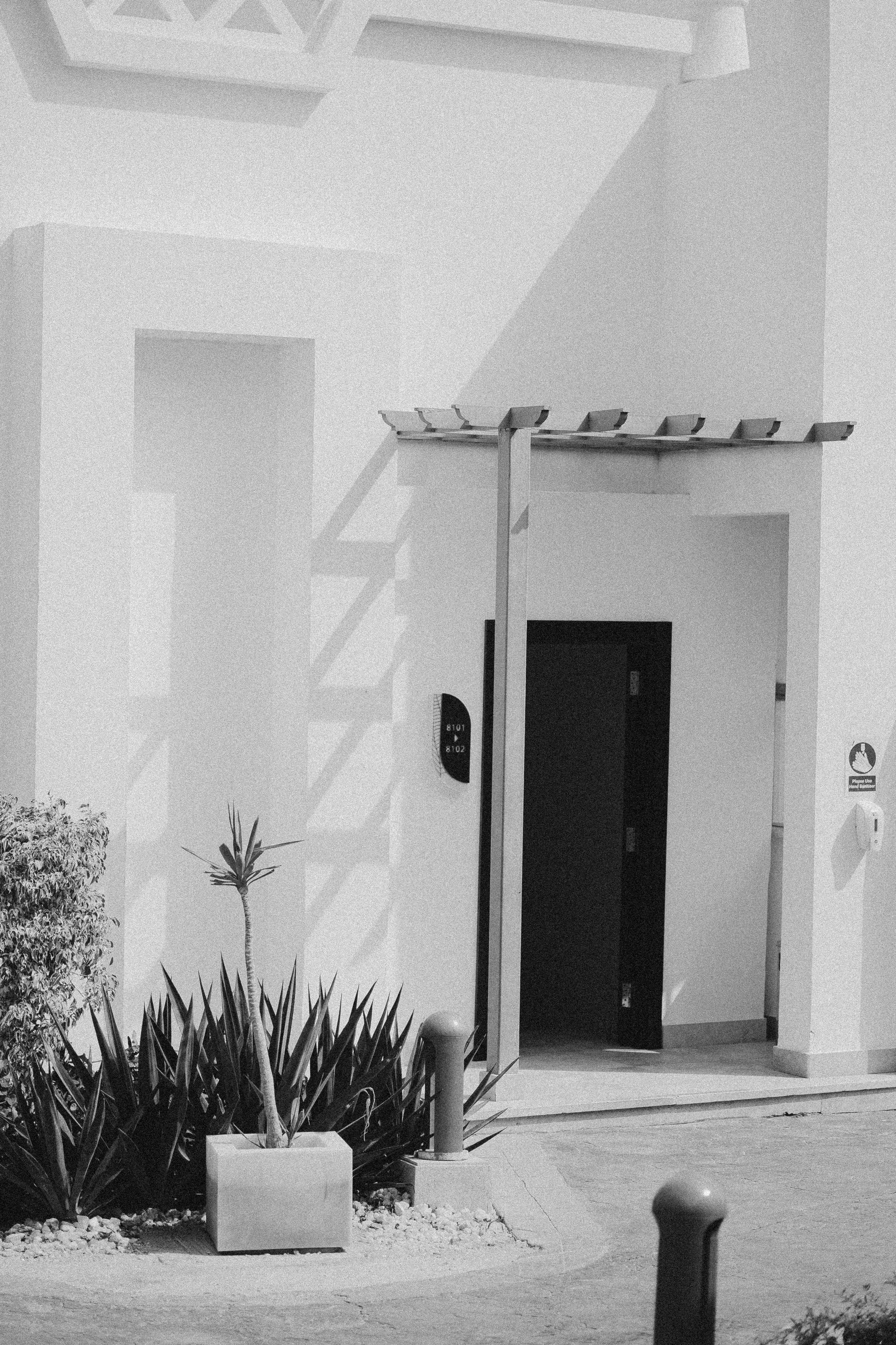 Тамо. Alesya Gee Photographer Uzbekistan