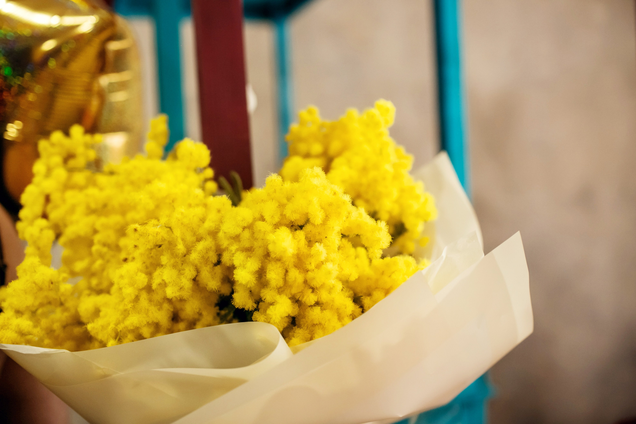 Насте 5 лет. Детский и семейный фотограф в Москве Анна Ипатьева