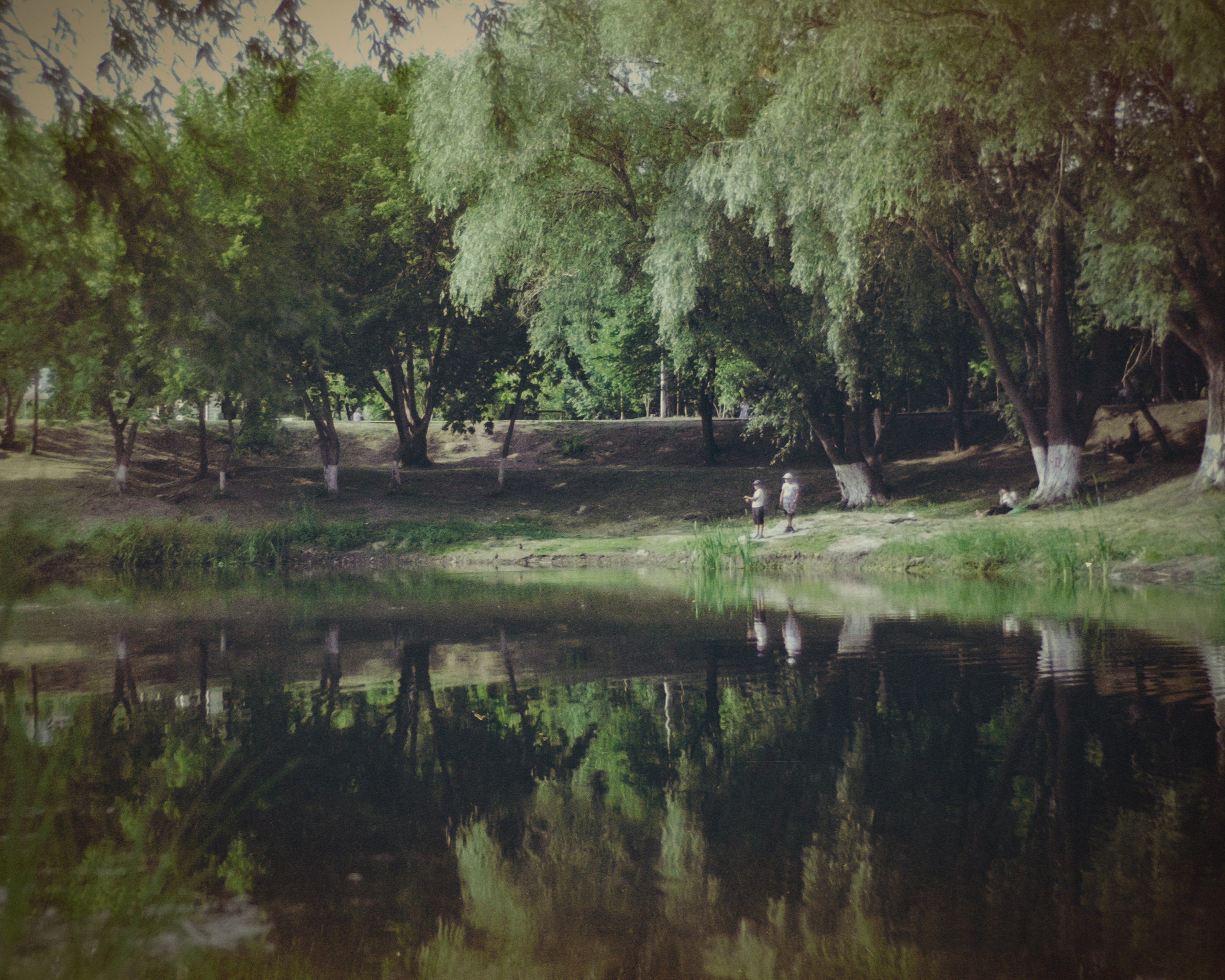 Пленочная история. Дмитрий Пропадалин, Нейрофотография