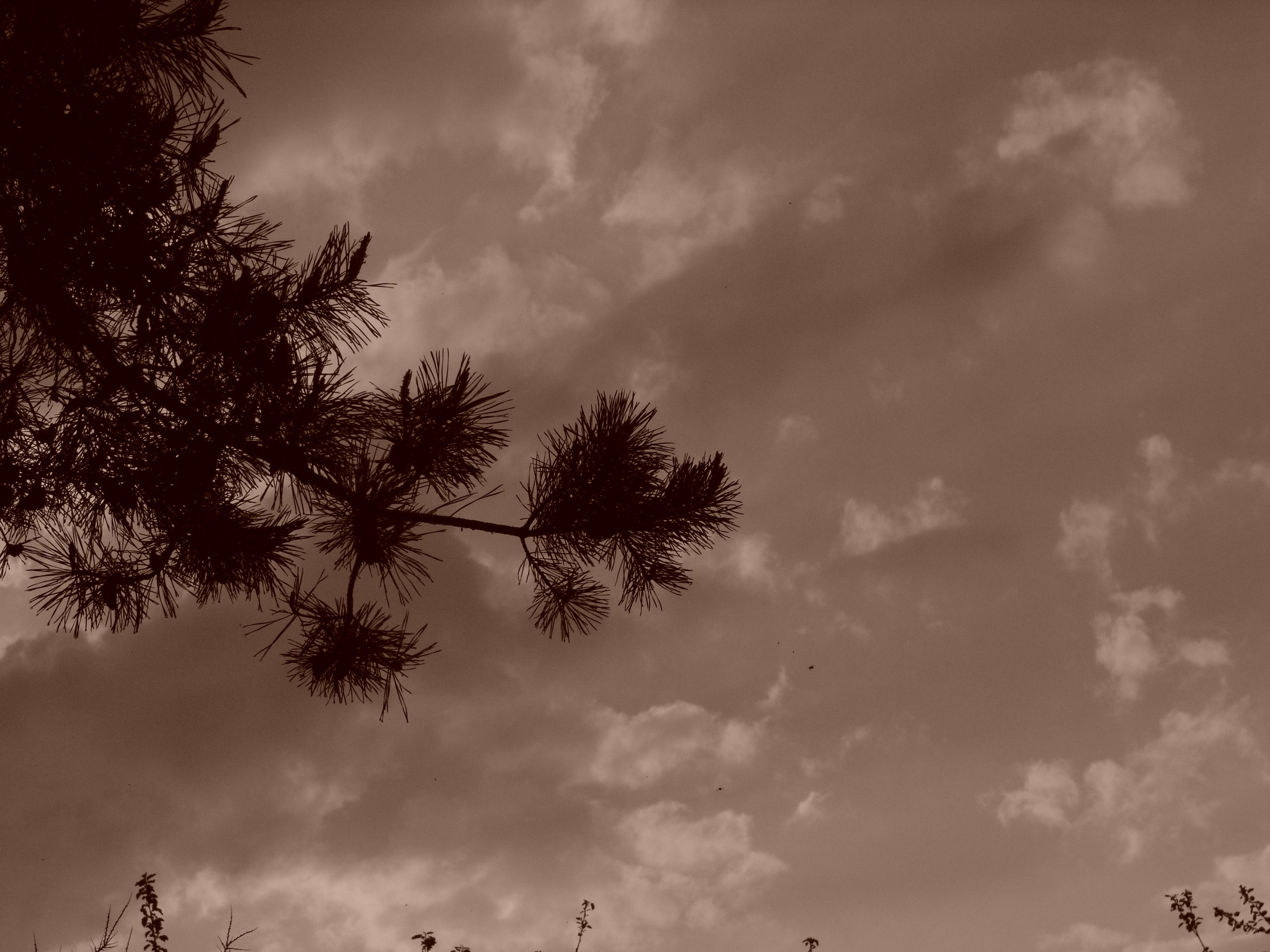 Приезд КС 2005. Заставка