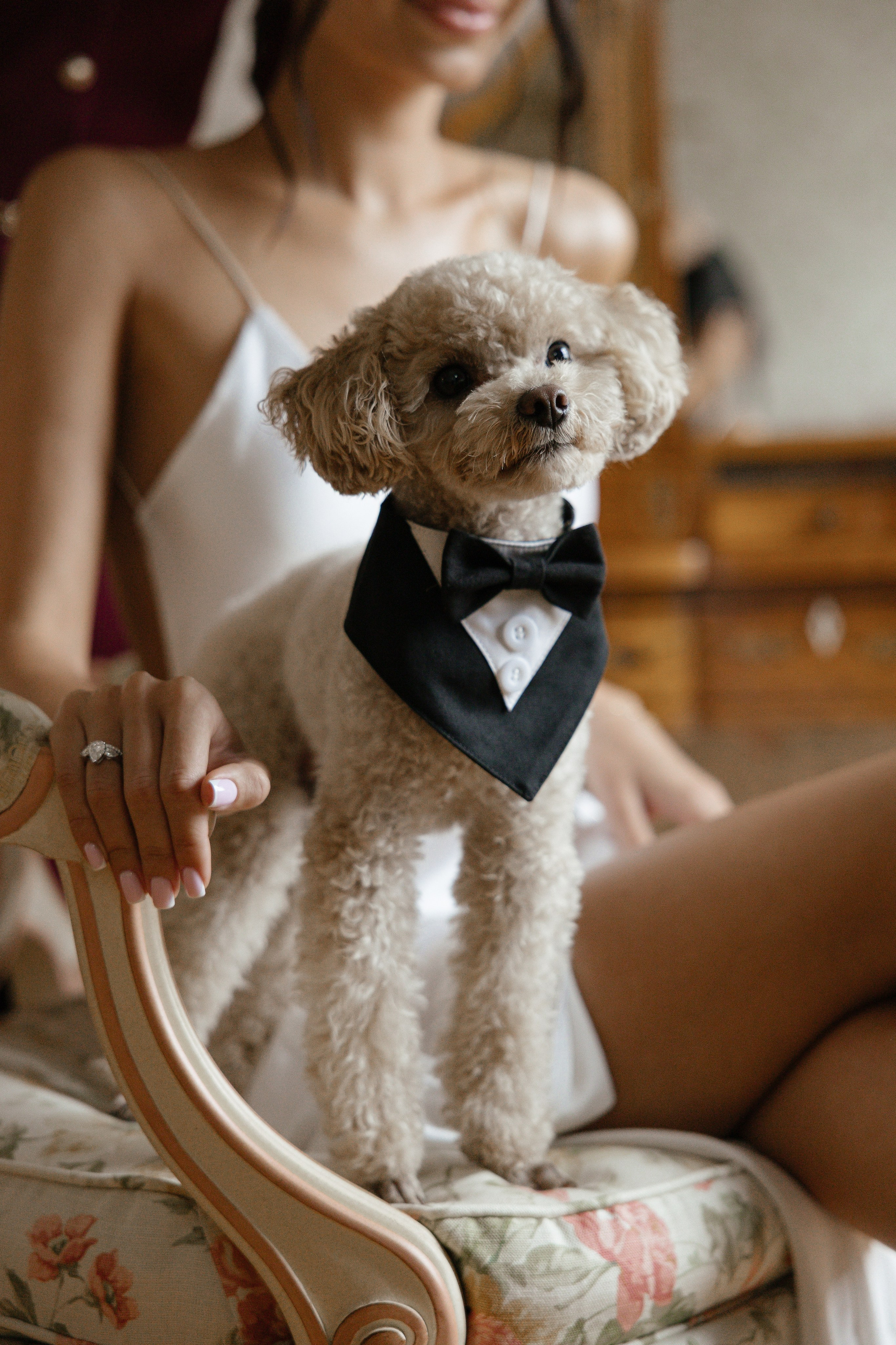 Villa Michetti. Свадебный и портретный фотограф — Олеся Ганненко