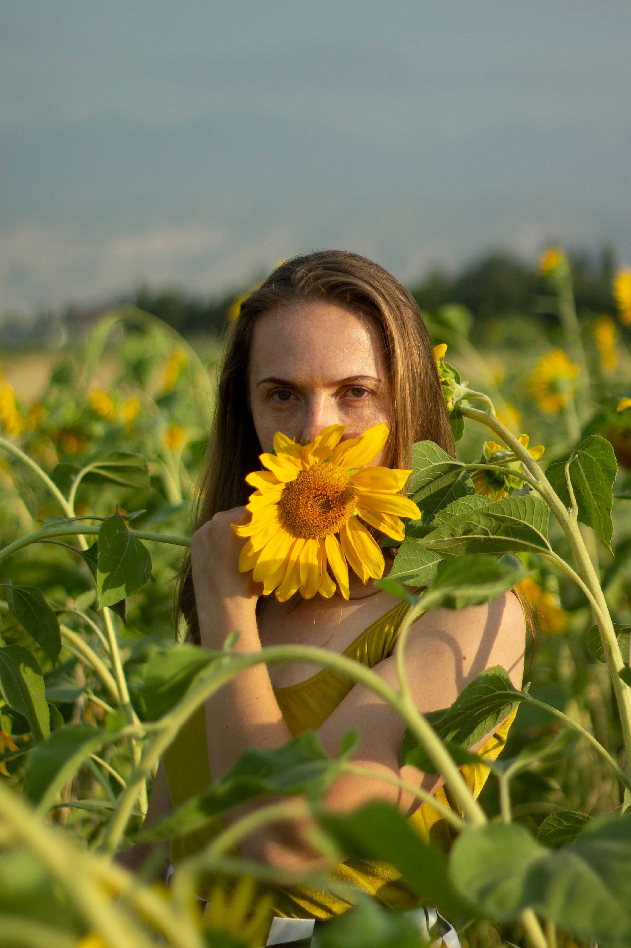 Lady on the Helianthus field closing her mouth with a flower