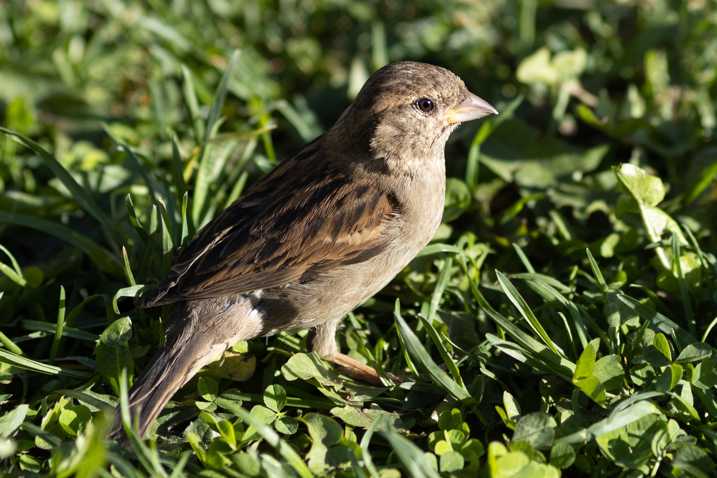 Природные пейзажи. Наталия Клевинскас портретный фотограф в Костроме
