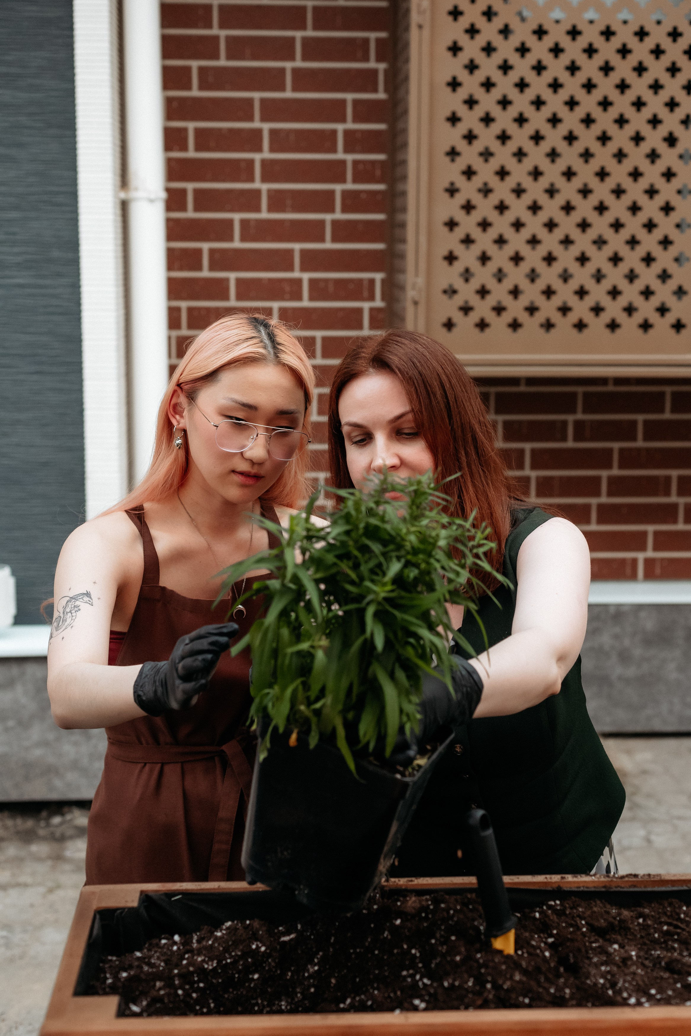 РЕСНОТА — ОТКРЫТИЕ ТЕРРАСЫ. СВОИ. ФОТООТЧЕТЫ-СОБЫТИЯ-МЕСТА