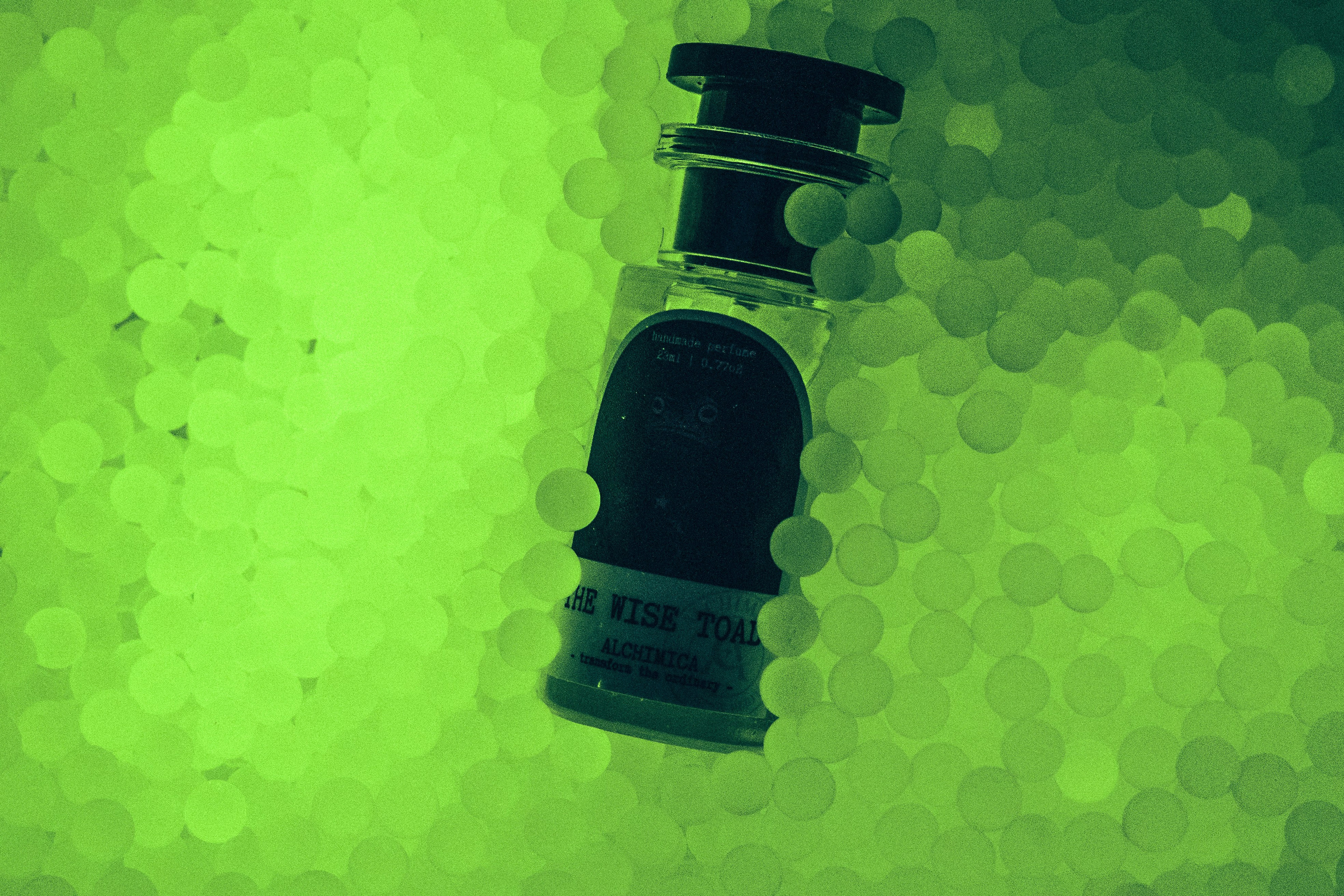 FRAGRANCE. Анна Ульянова